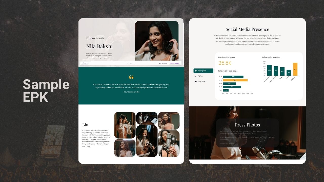 Image of a sample EPK for musicians