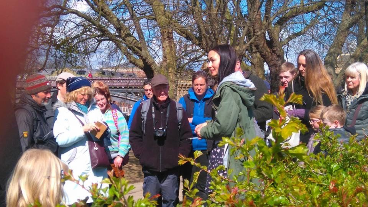 Wild Food Foraging Walks in Yorkshire