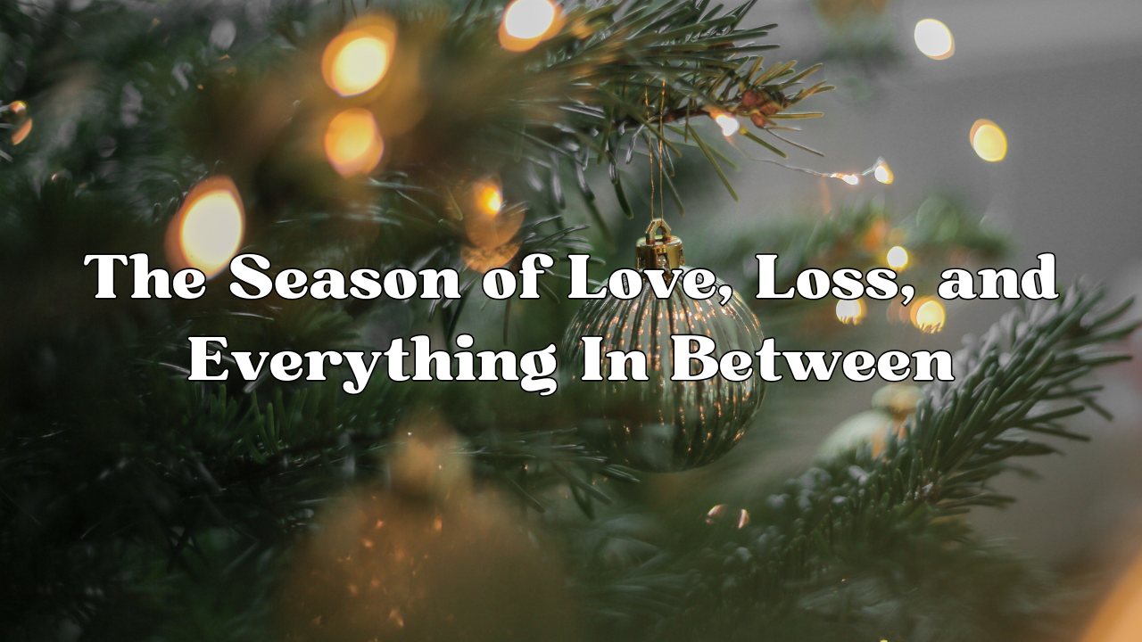 A pictue of evergreen with white sparkling lights and the words The Season of Love, Loss and Everything in Between