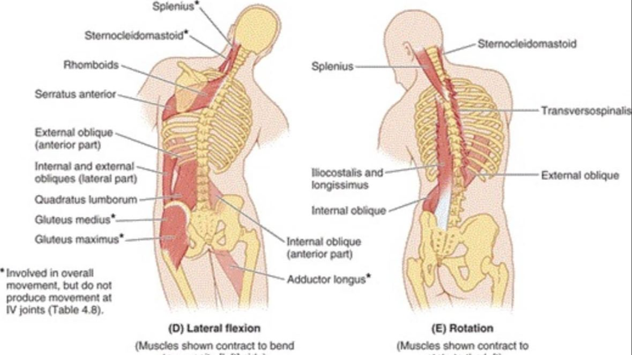 zgięcie boczne z rotacją