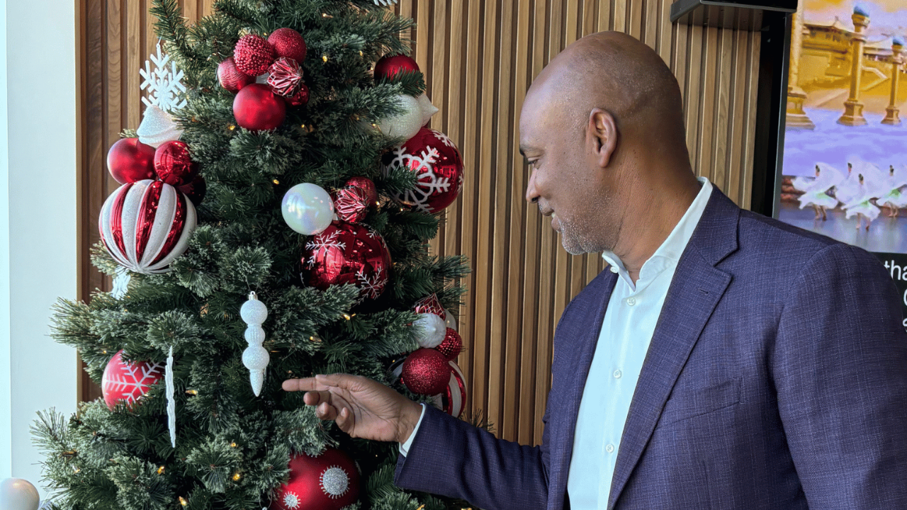 Ivan looking at ornaments on a Christmas Tree.