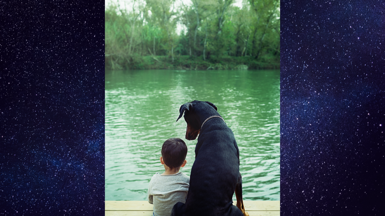 boy with dog by water