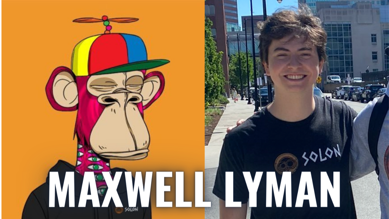 DAOs & decentralization (for Beginners) (Maxwell Lyman)