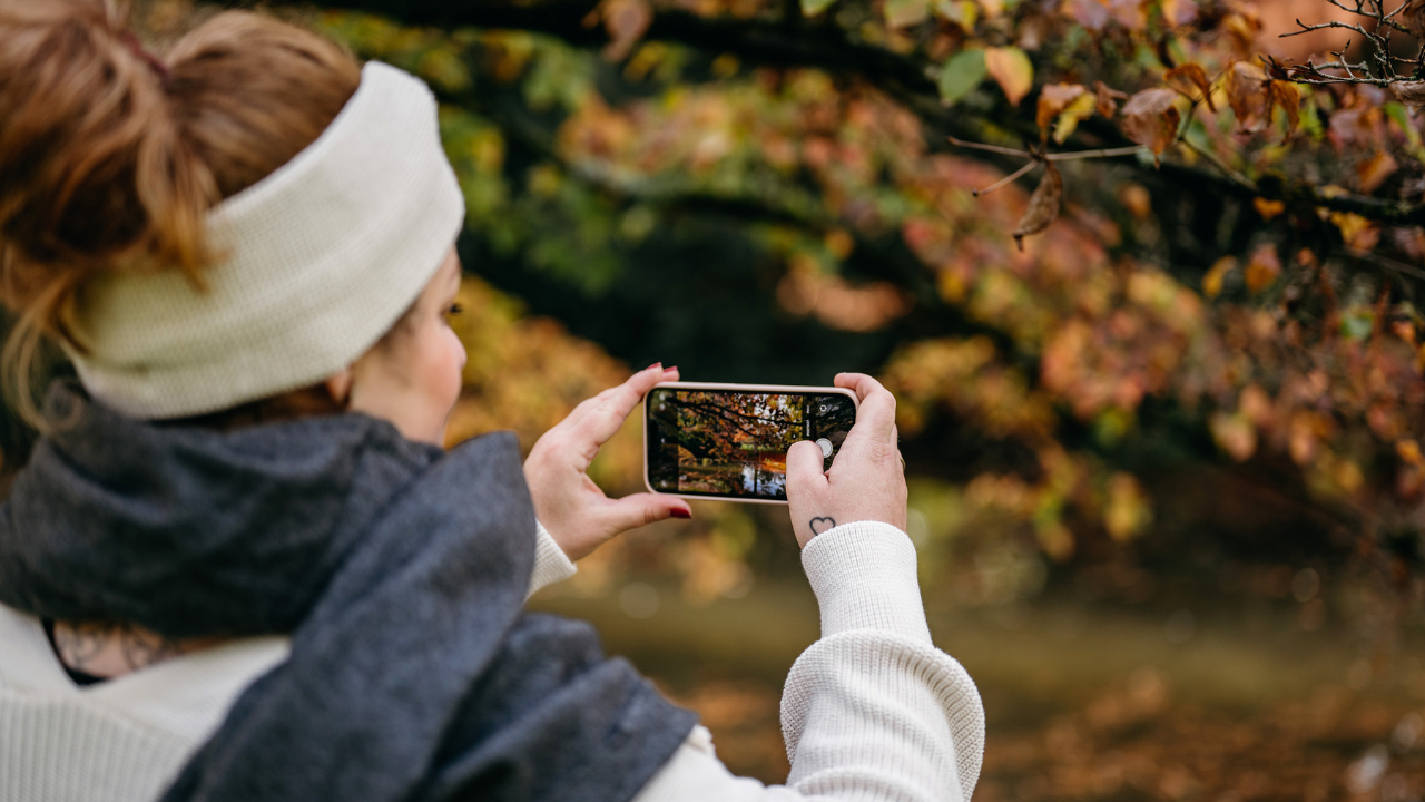 Autumnal Reboot - Flying With the Feminine