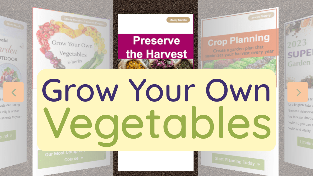 Preserve the Harvest with Grow Your Own Vegetables