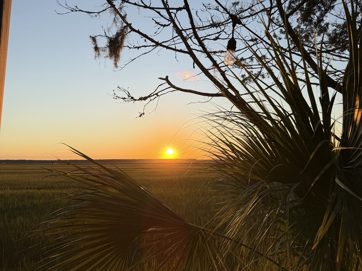 Sun setting over the marsh framed by palm fronds at Locals Dockside
