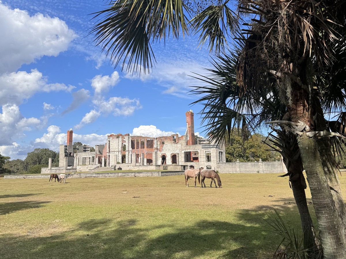 Wild horses grazing in front of the Dungeness ruins on Cumberland Island, Georgia
