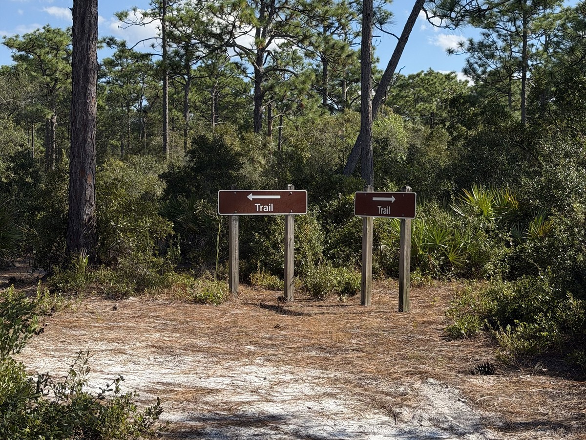 Trail signs pointing left and right through pine scrub at Crooked River State Park
