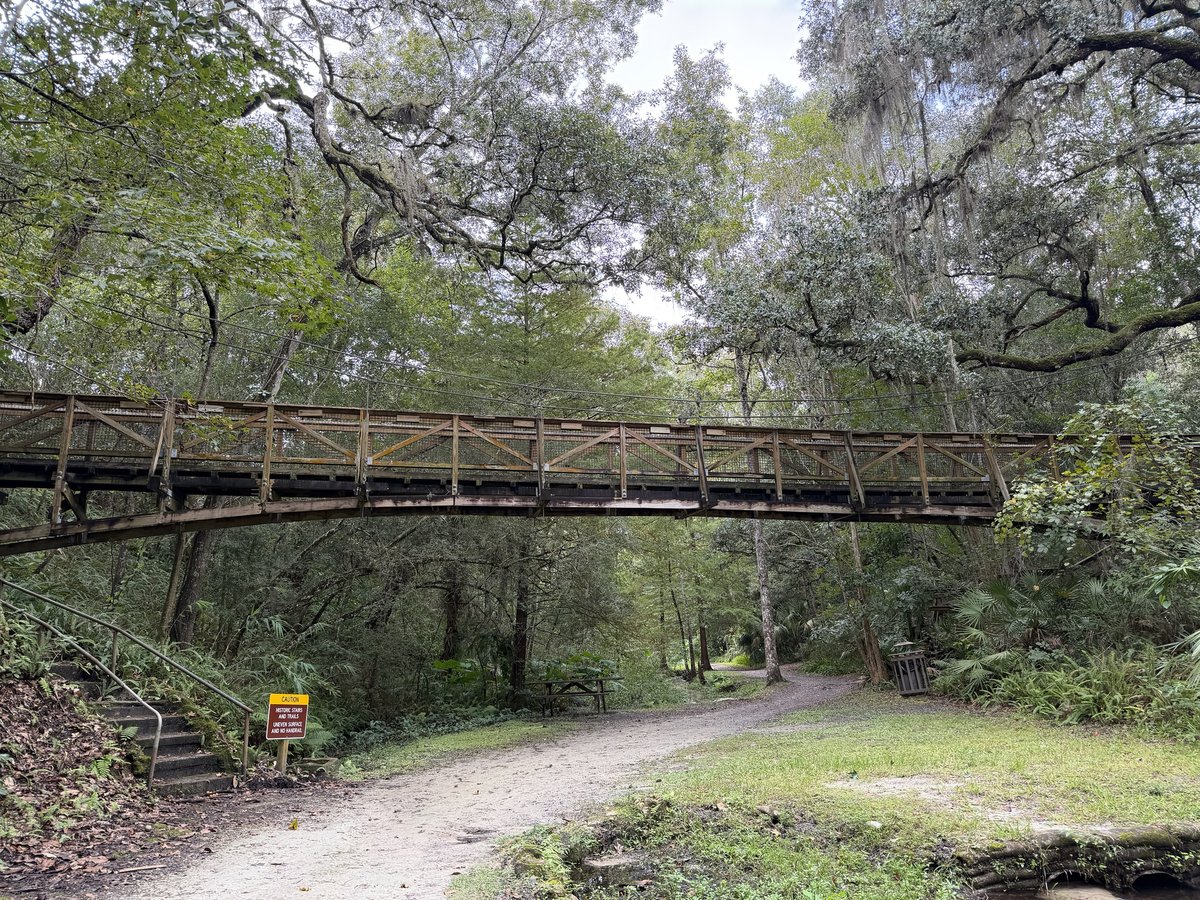 Suspension bridge over the ravine at Ravine Gardens State Park