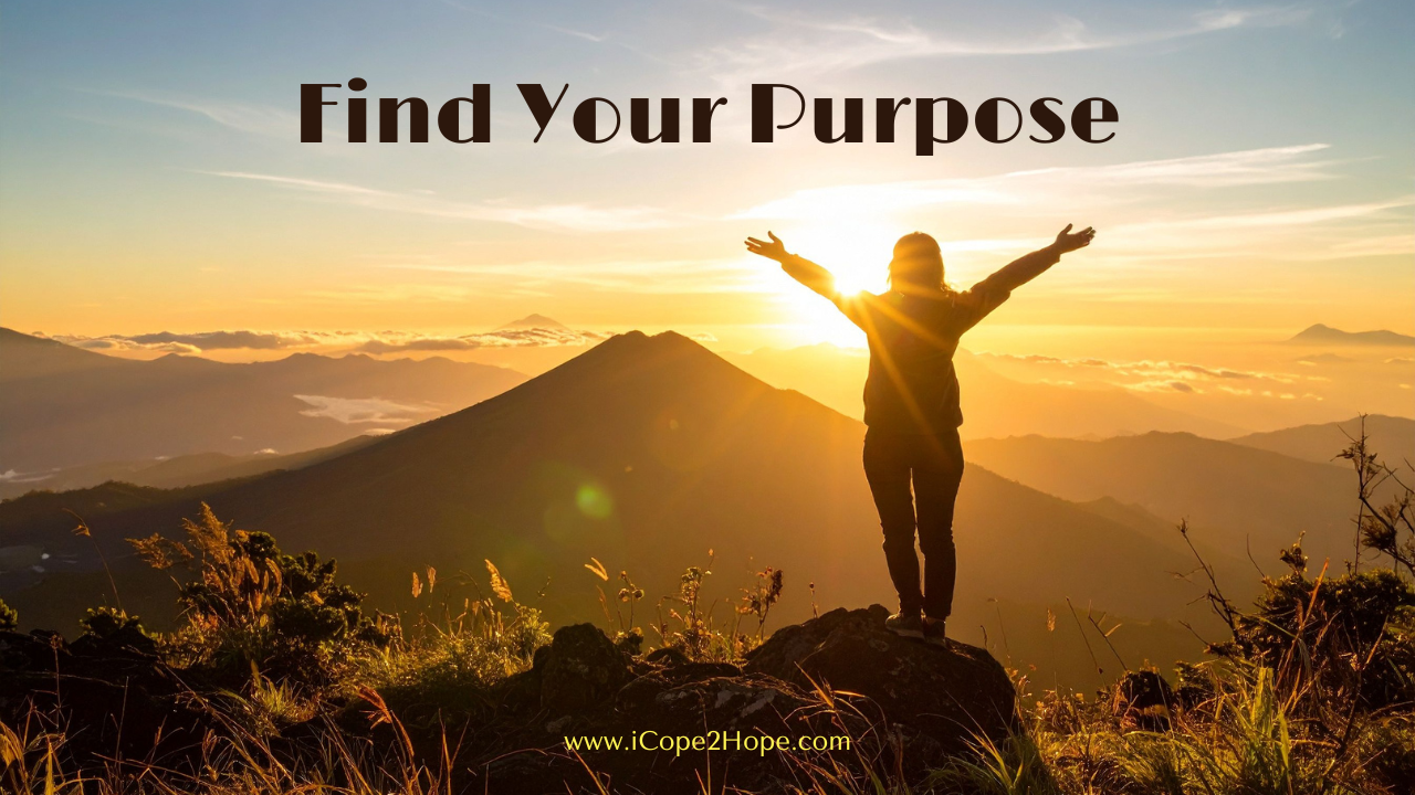 Find your purpose