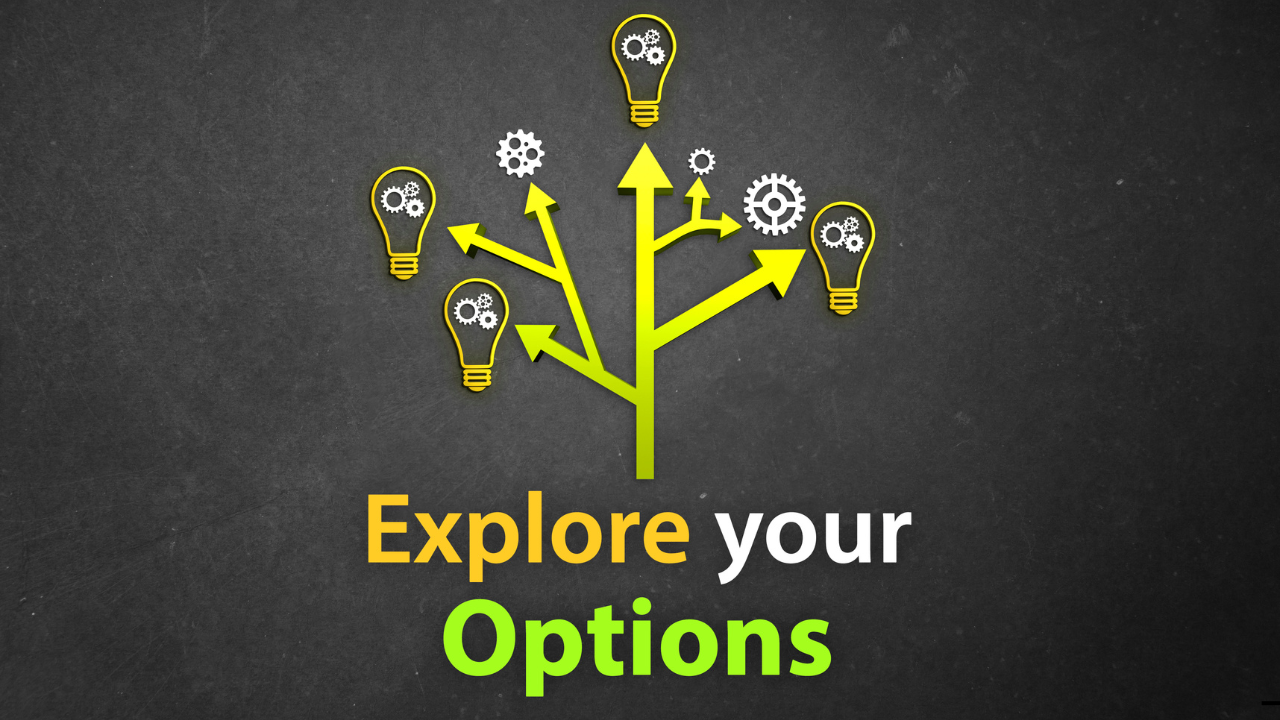 Explore Your Options