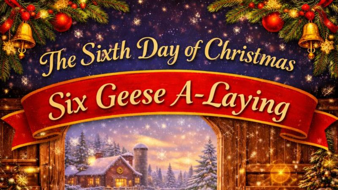 Day 6 - Six Geese a-Laying and Bloom's Taxonomy