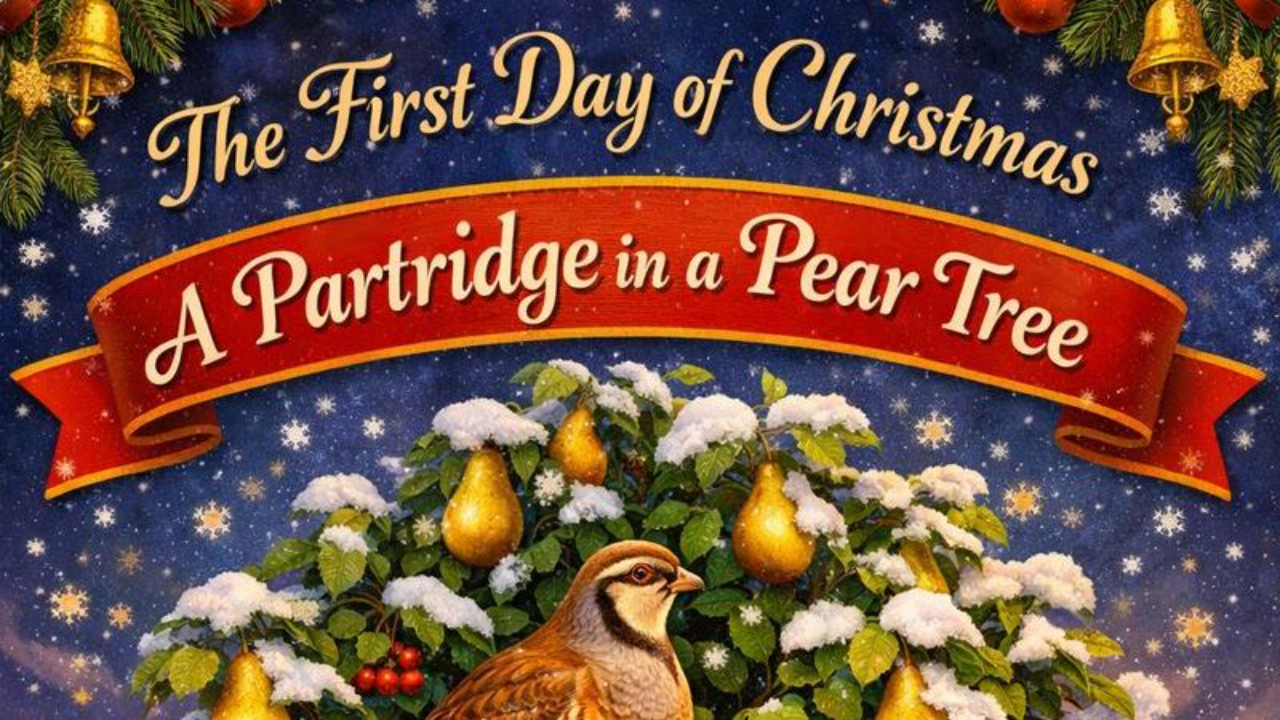 Day 1: Learner-First Design – The Gift at the Center a Partridge in a Pear Tree