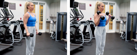 Dumbbell hammer curl exercise