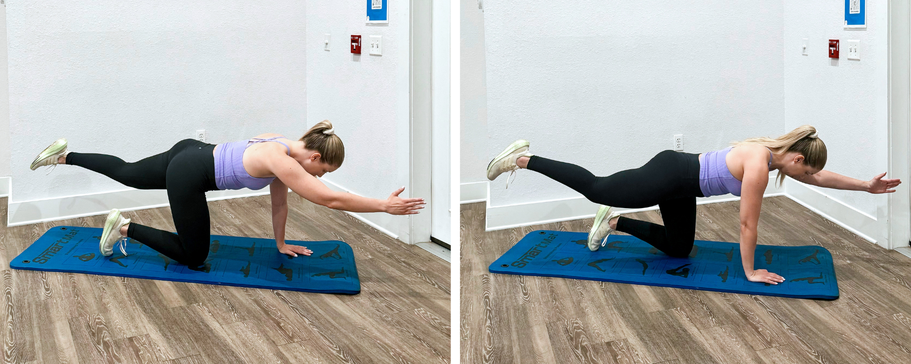 Bird dog exercise for core