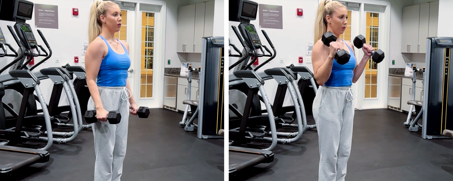 Dumbbell Hammer Curl Exercise for Biceps