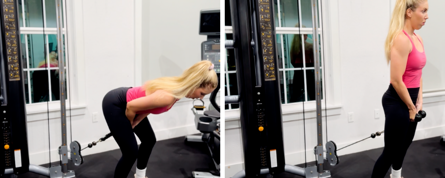 Cable Pull Through Exercise