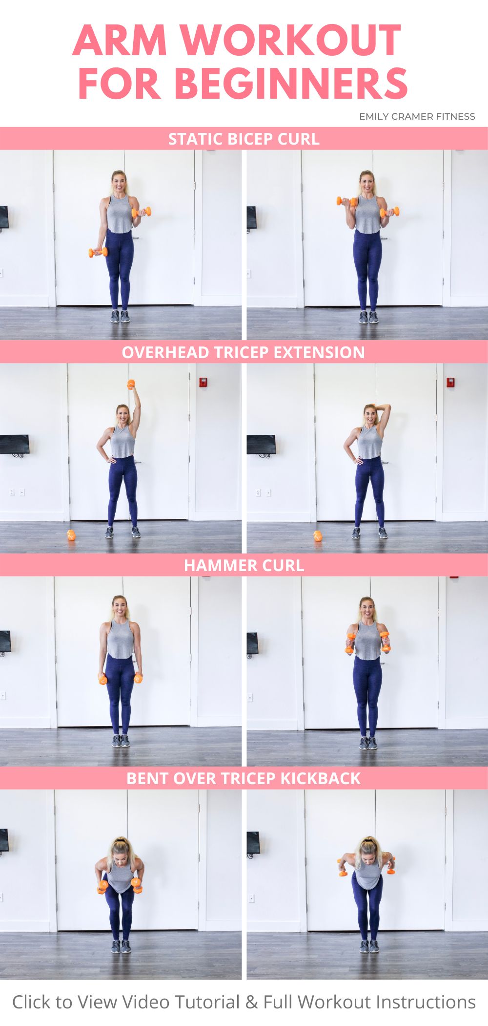 Dumbbell Biceps and Triceps Workout for Beginners