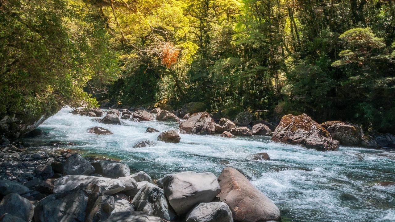 Beautiful sun light over Cleddan River at Darran Mountain in Fiordland National Park on the way to Milford Sound in New Zealand, South Island.