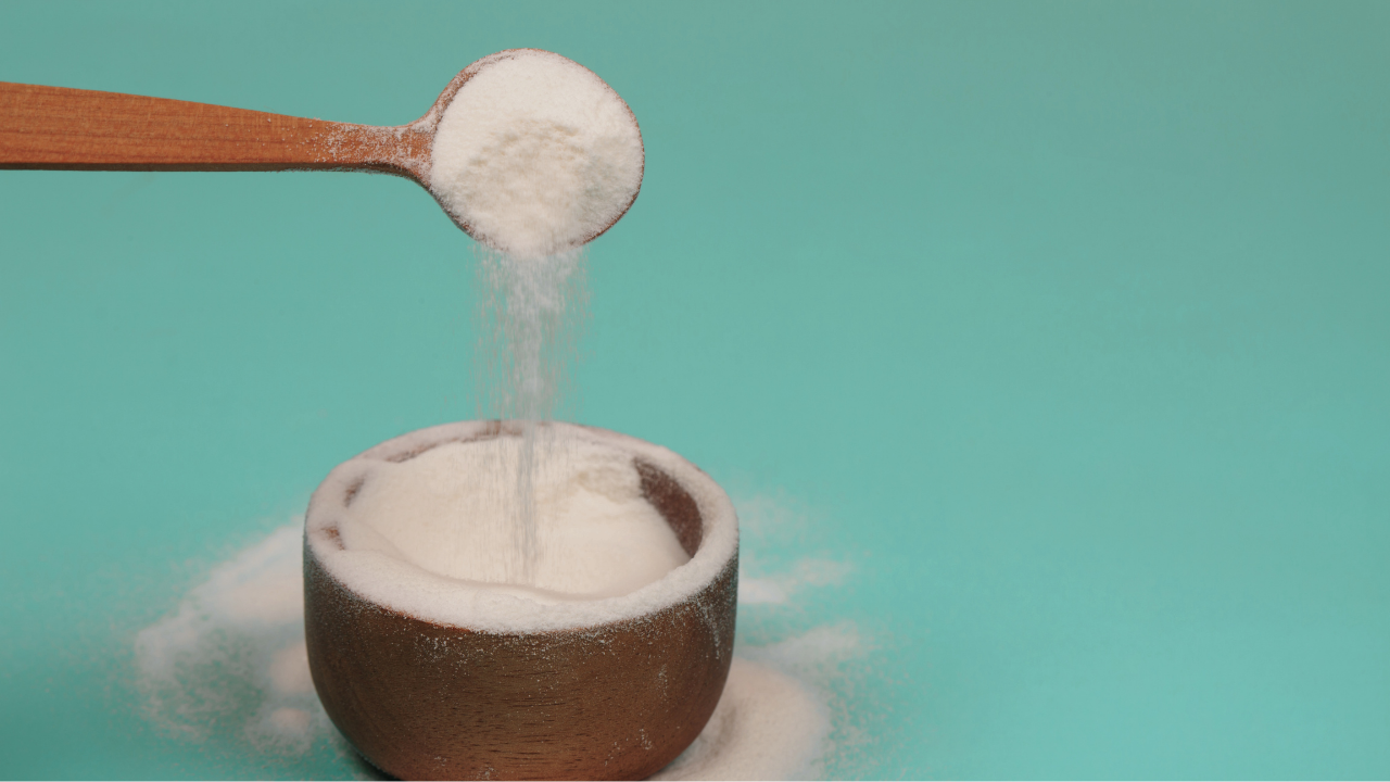 collagen vs protein powder