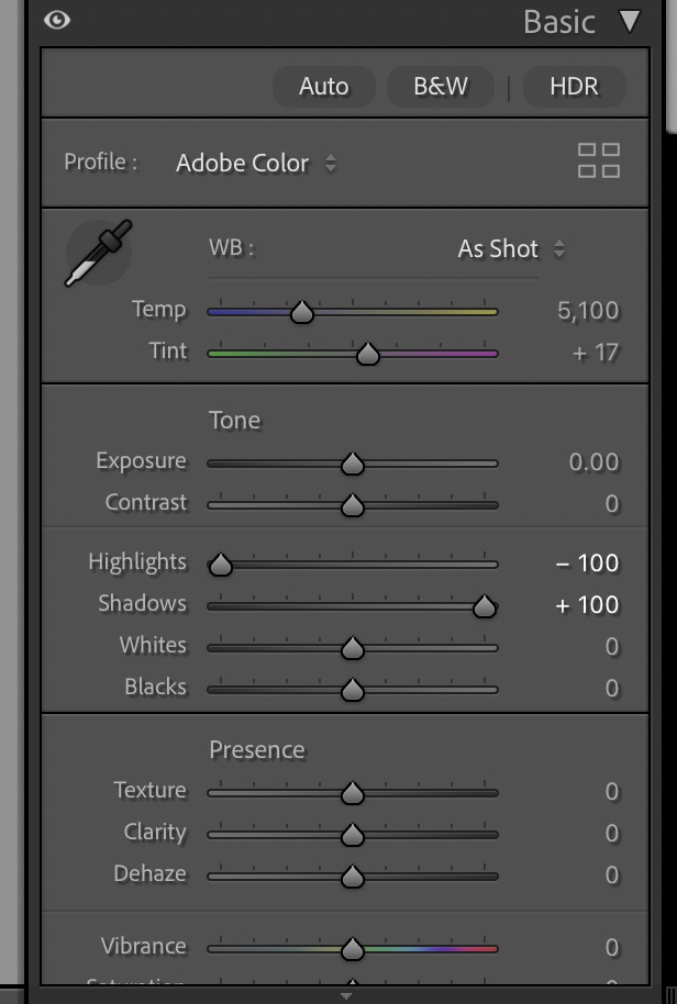 Lightroom Basic panel with shadows at +100 and highlights at -100 for beginners
