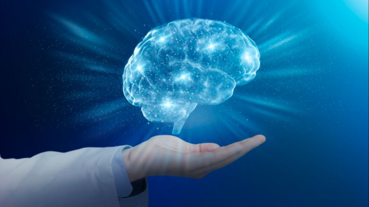 This is an image of the human brain and the brain can be strengthened through Pilates and movement