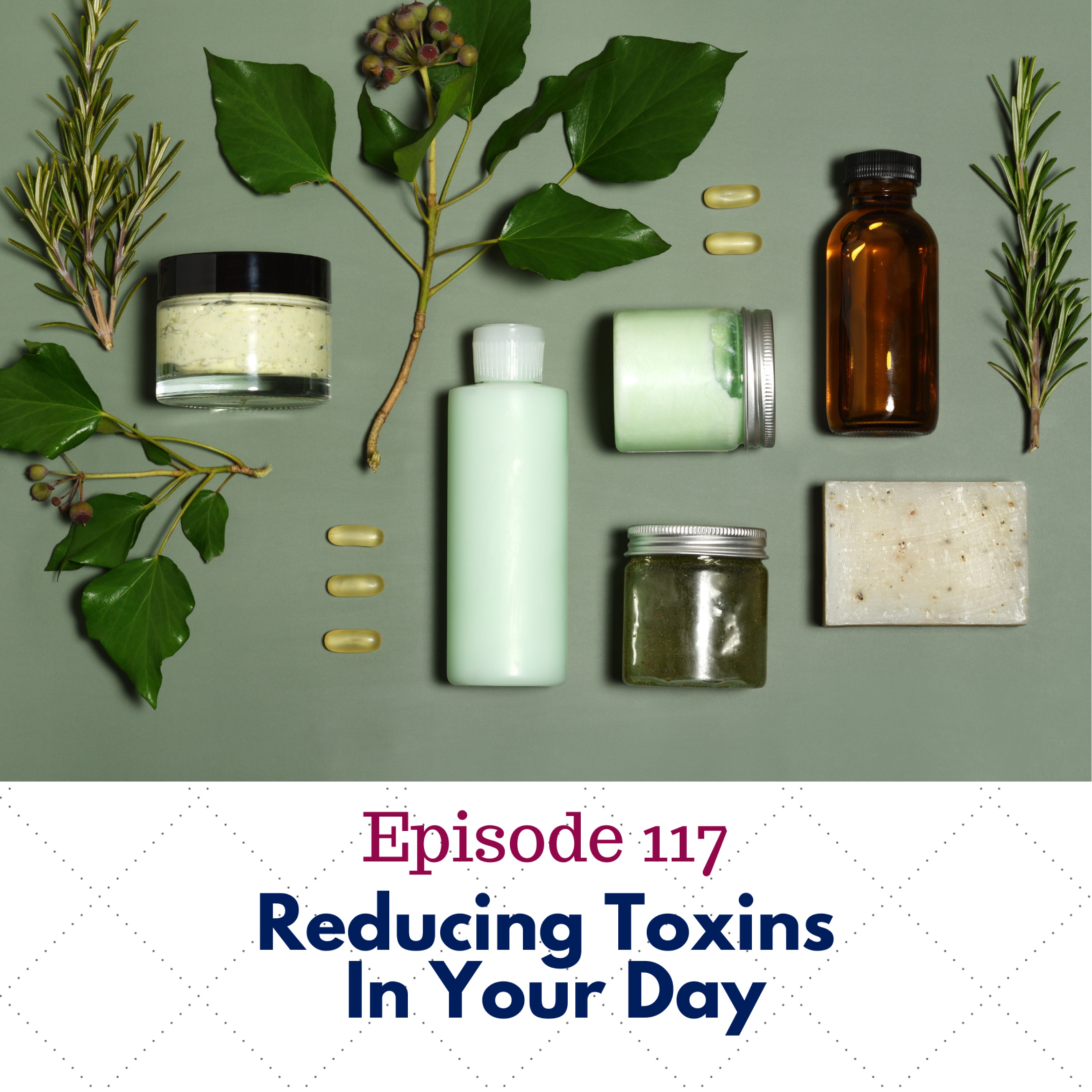 117. Reducing Toxins In Your Day