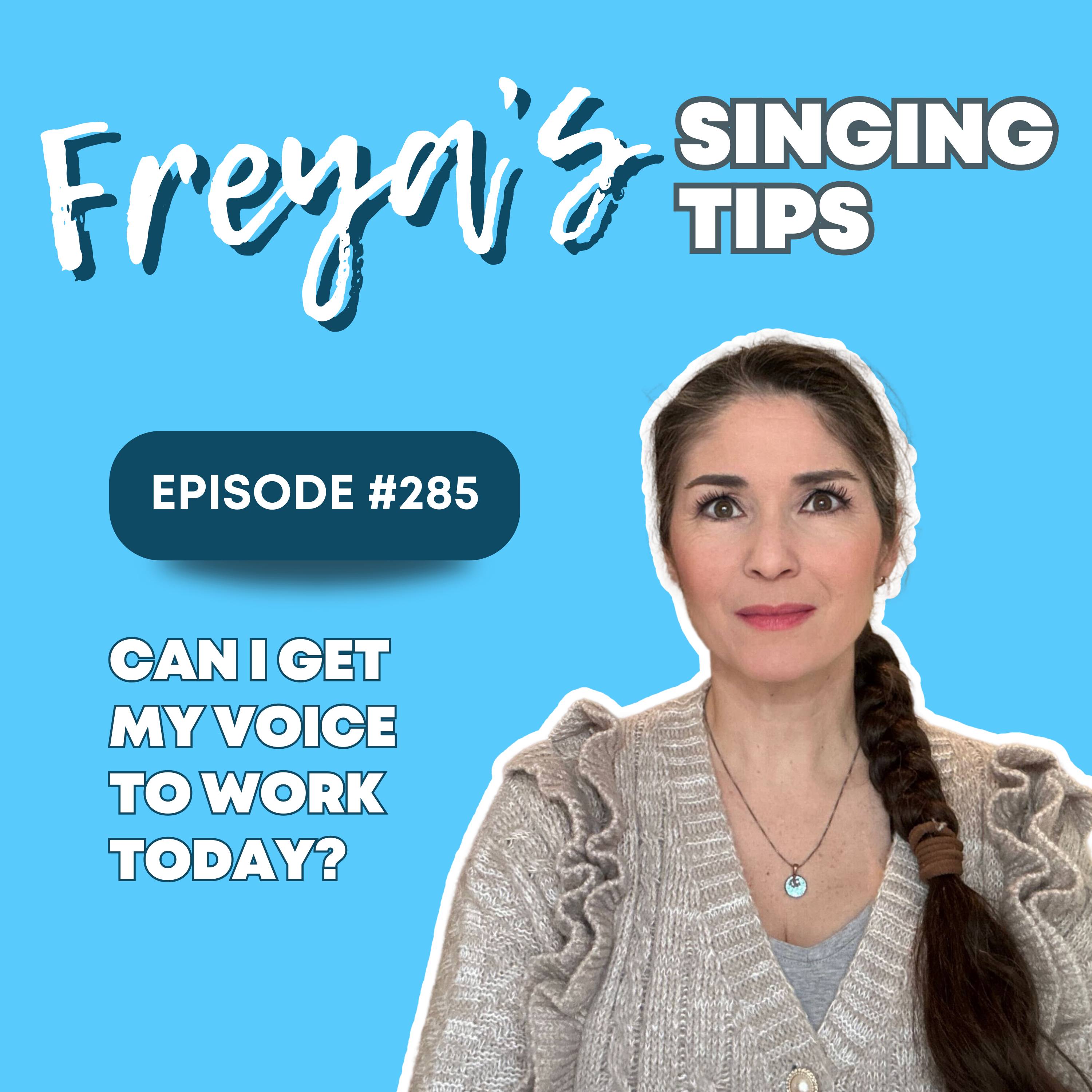 285: Can I get my voice to work today?