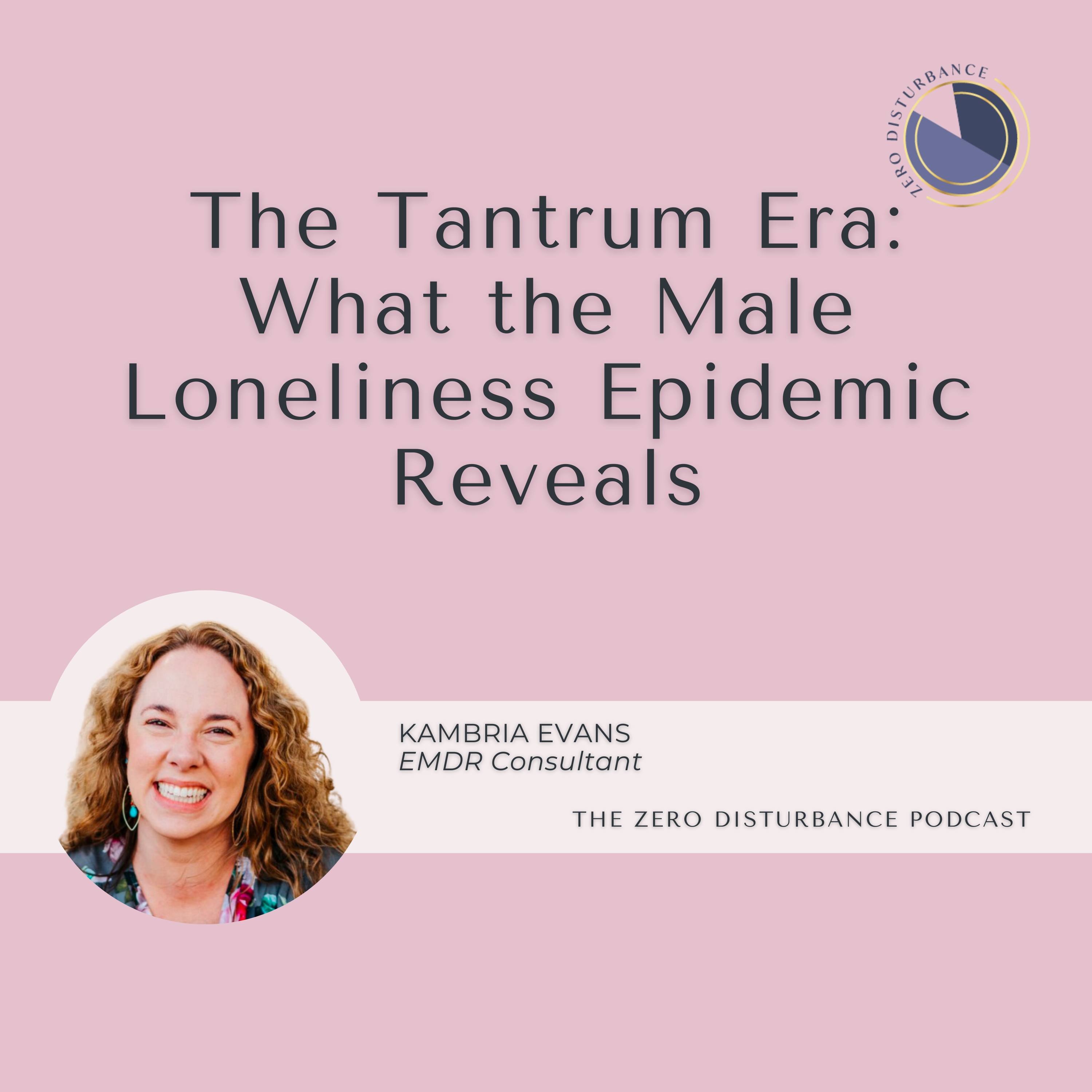 108: The Tantrum Era: What the Male Loneliness Epidemic Reveals [Why Women Go To Therapy Series]