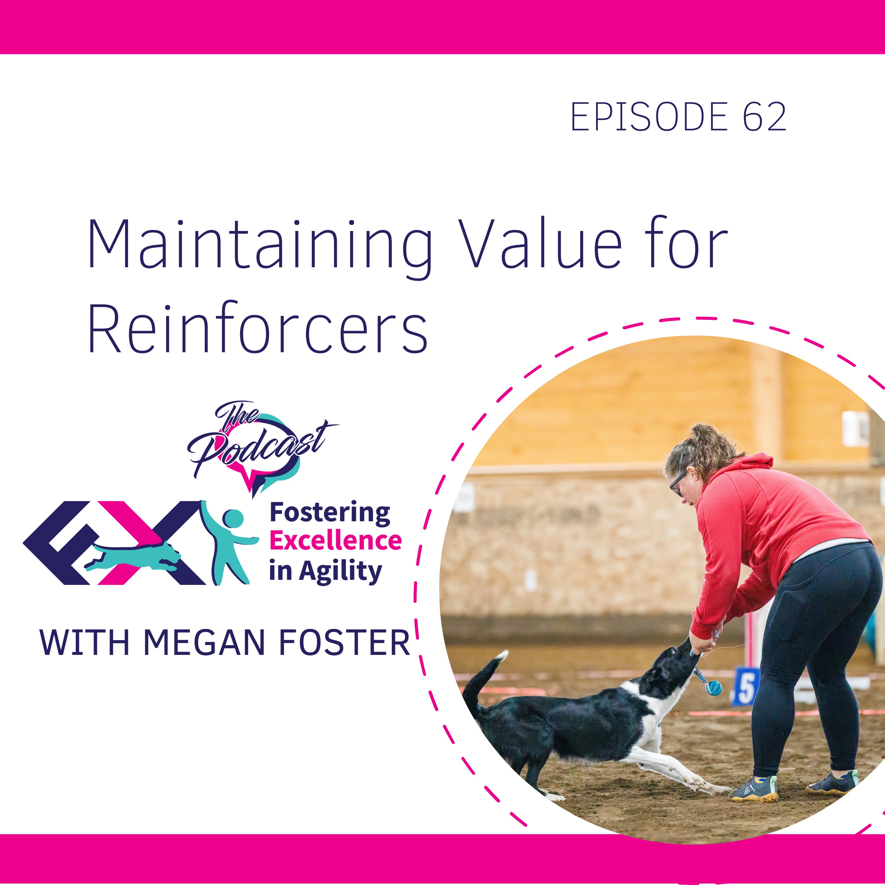 Fostering Excellence in Agility