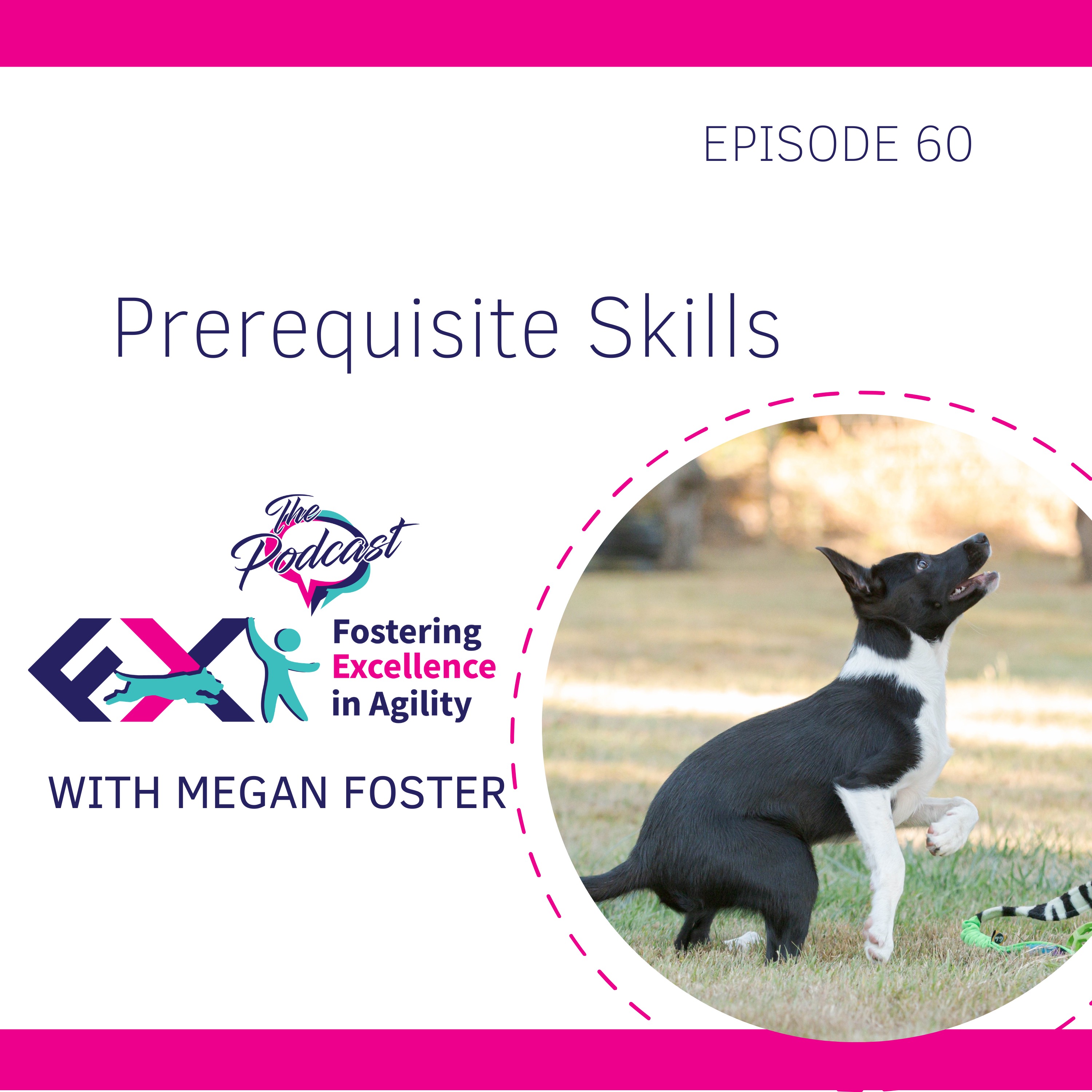 Fostering Excellence in Agility