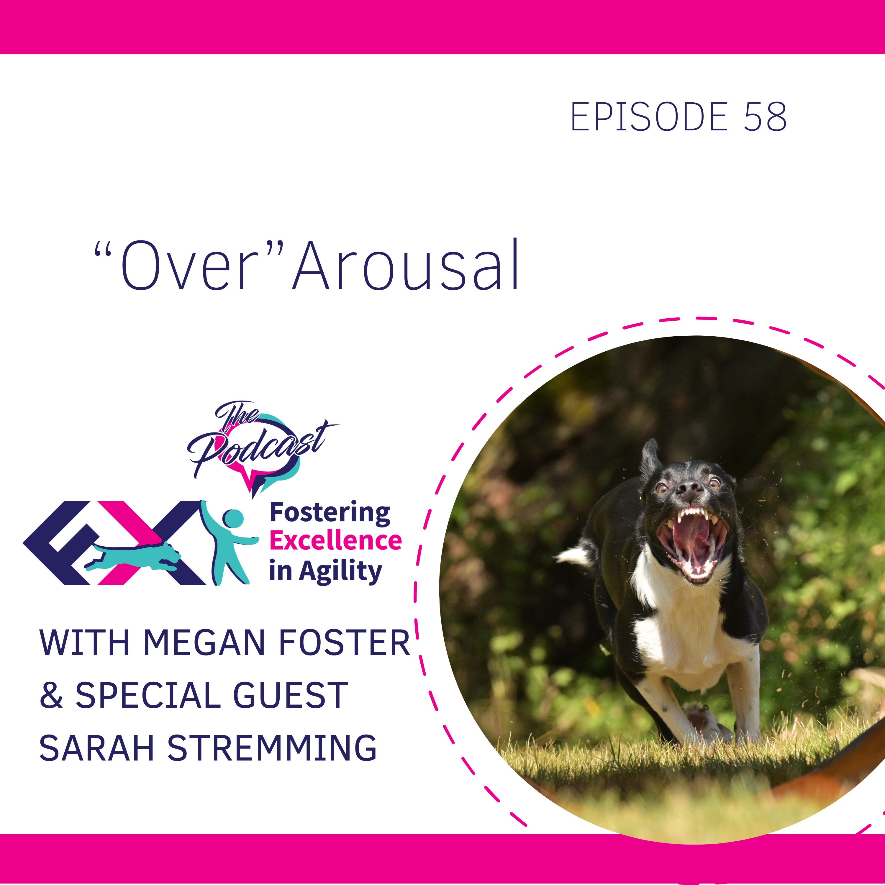 Fostering Excellence in Agility