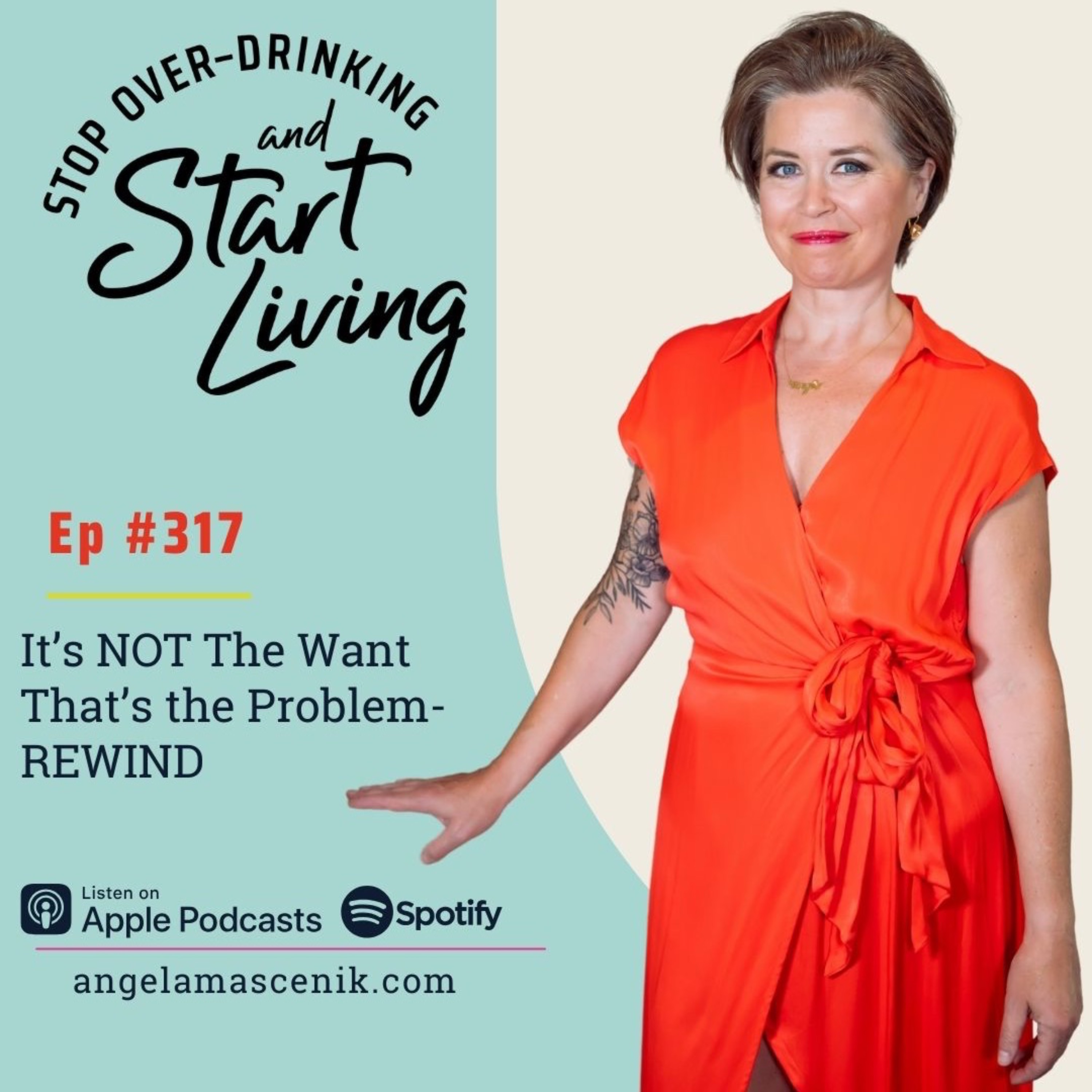 Ep 317 It's NOT The Want That's The Problem- REWIND episode artwork