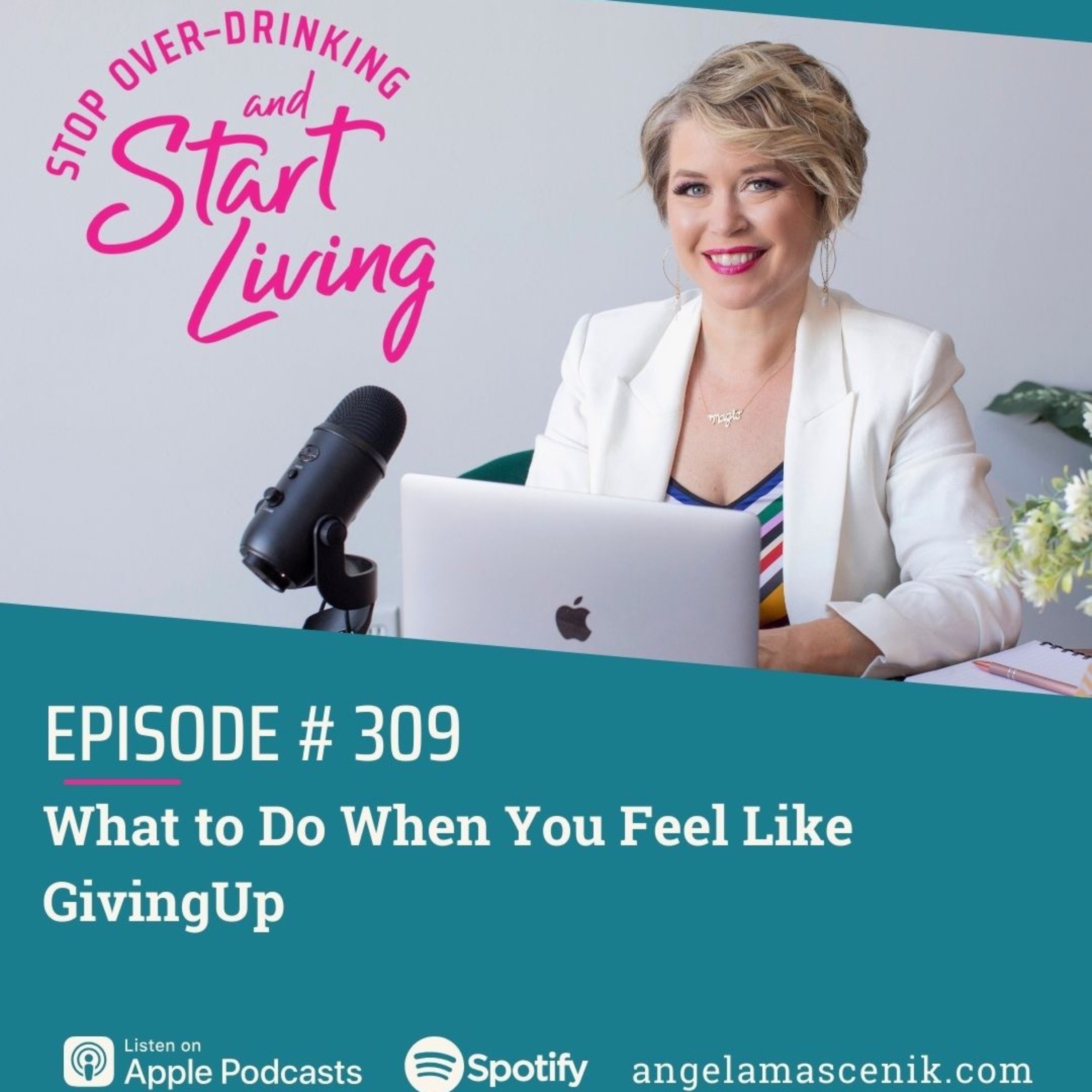Ep 309 What to Do When You Feel Like Giving Up episode artwork