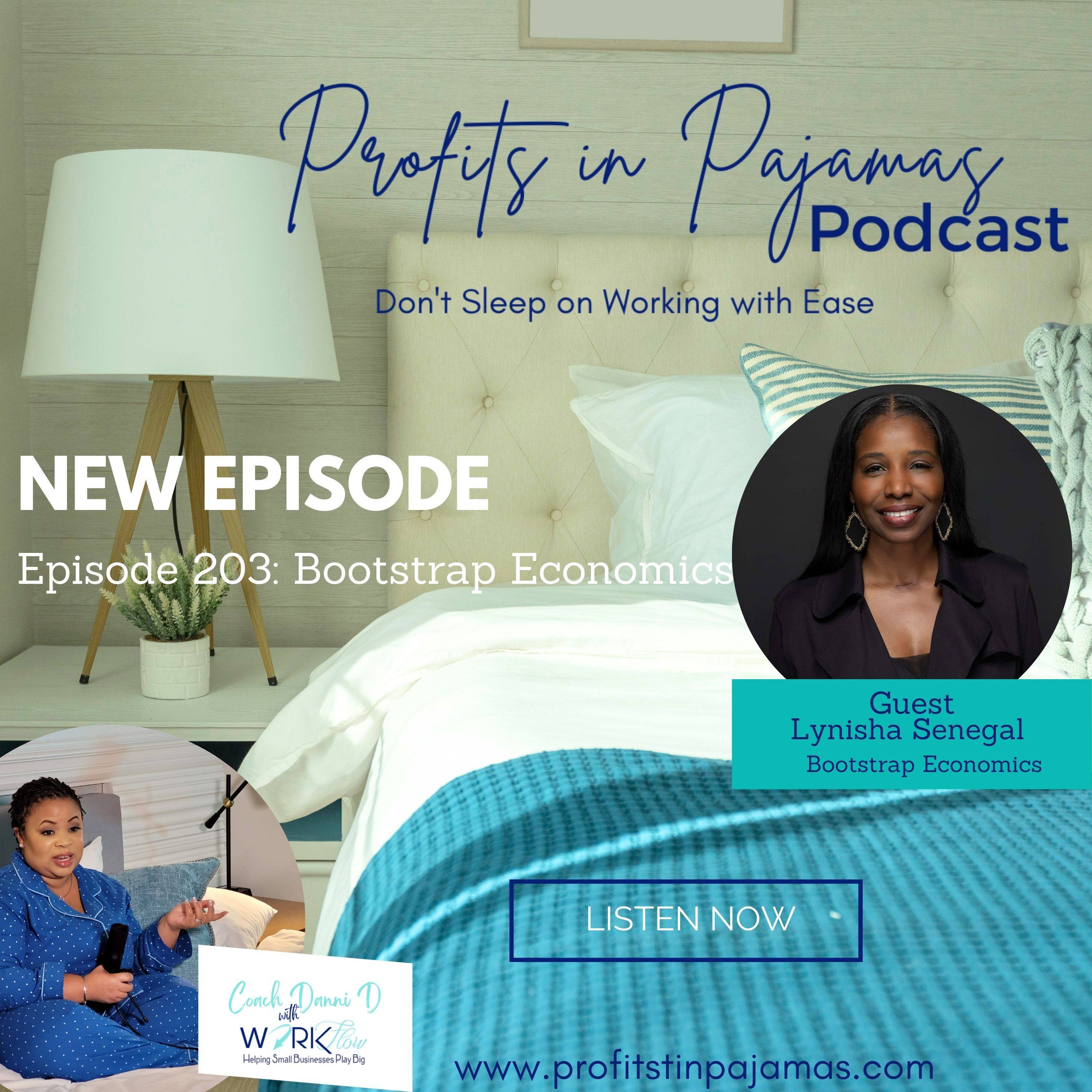 Episode 203: Bootstrap Economics episode artwork