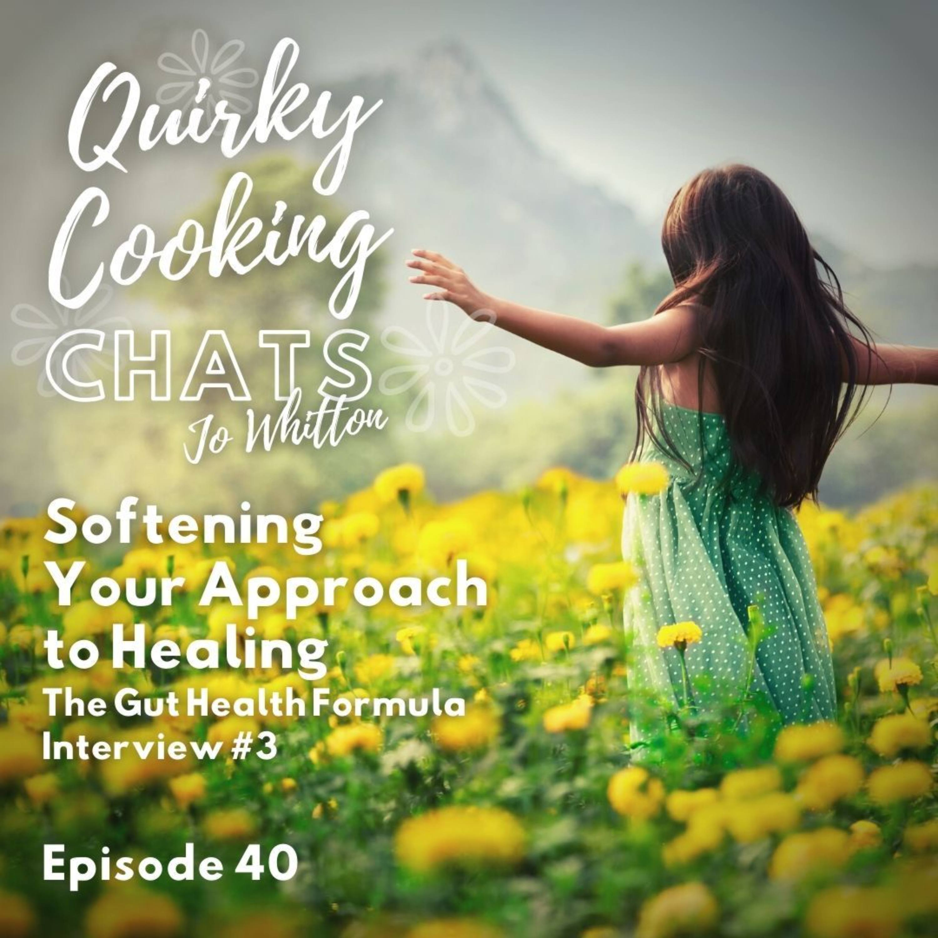 Softening Your Approach to Healing - The Gut Health Formula Interview #3 episode artwork
