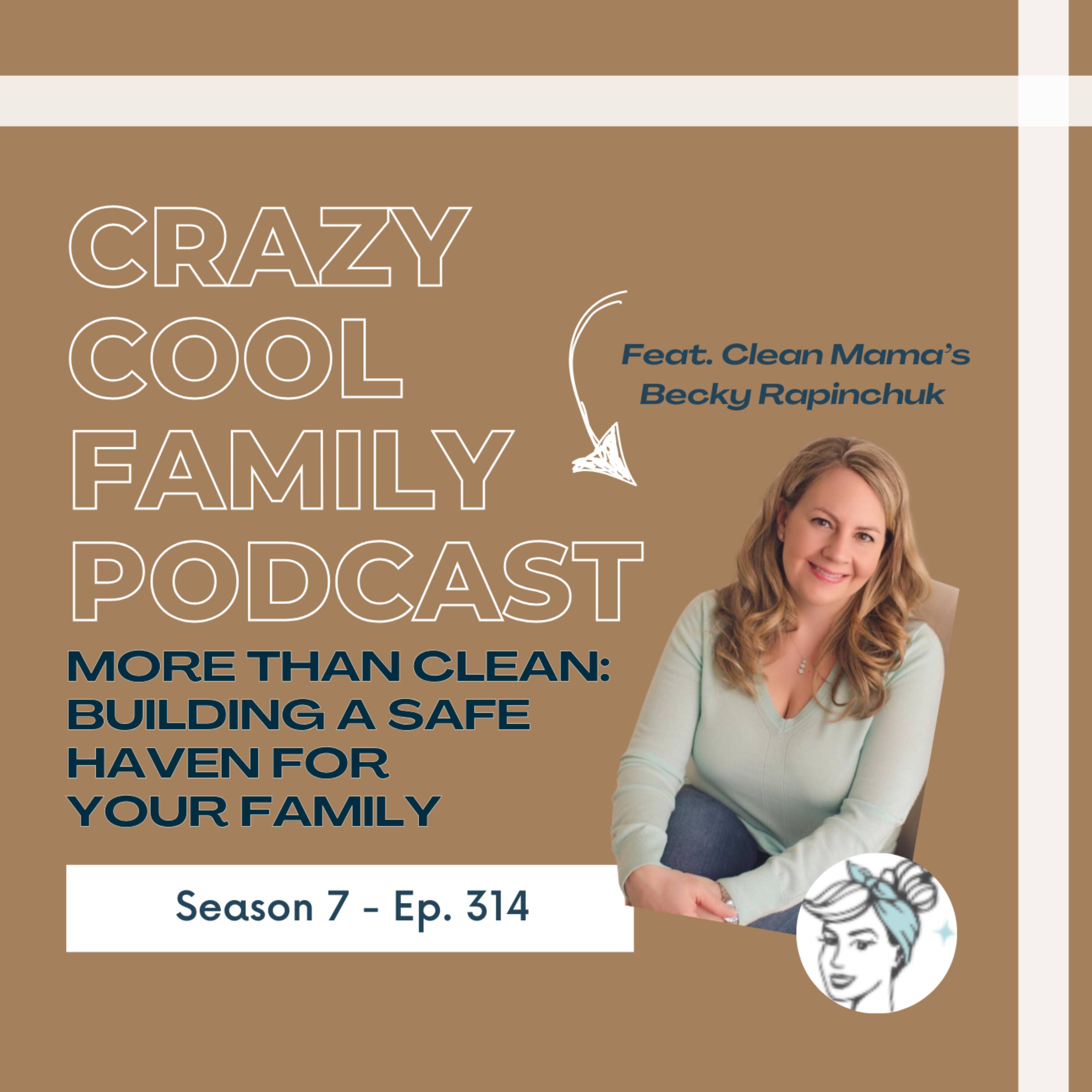 #314: More Than Clean - Building a Safe Haven for Your Family (Feat. Becky Rapinchuk from Clean Mama!) episode artwork