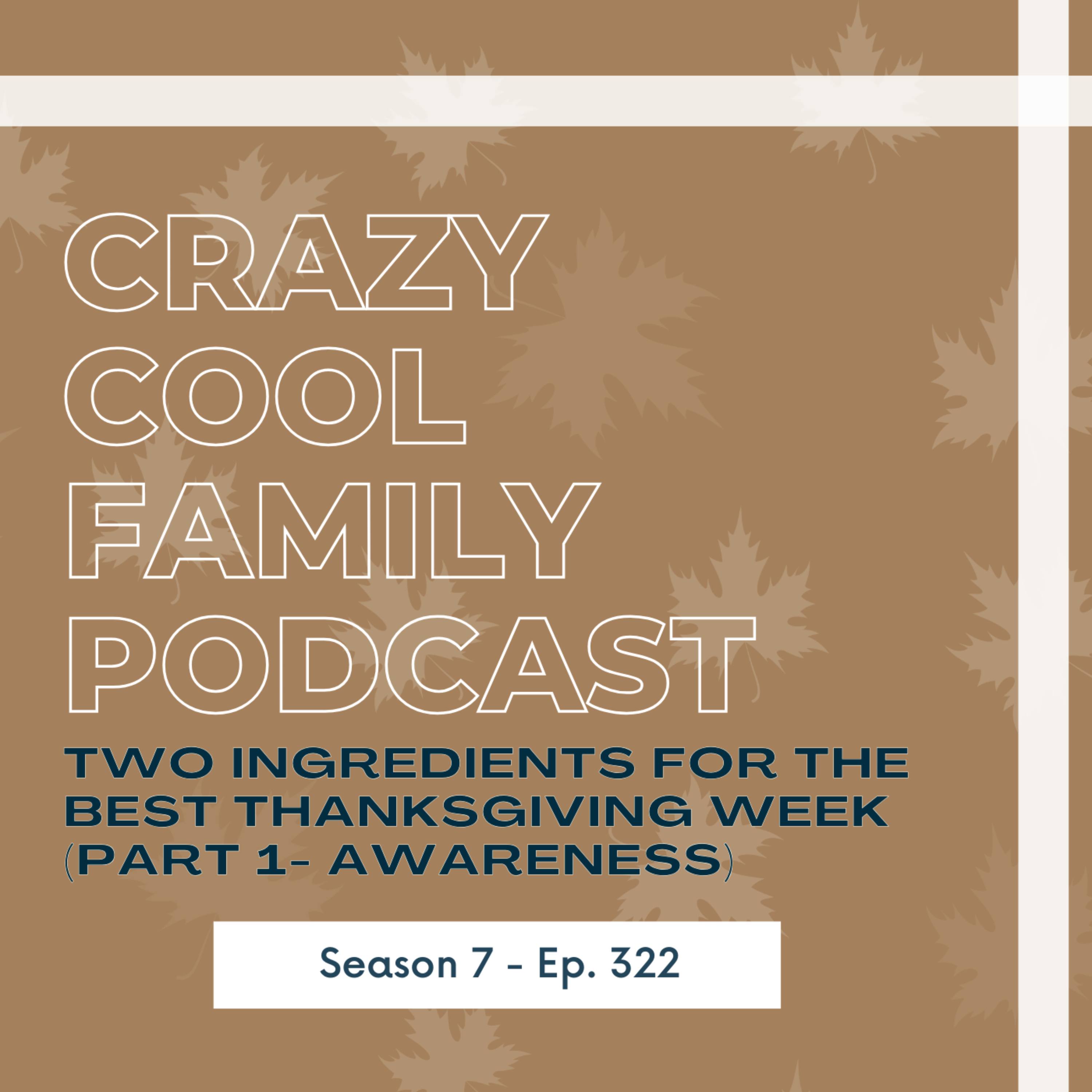 #322: Re-Run ALERT! Two Ingredients for the BEST Thanksgiving Week (Part 1) episode artwork