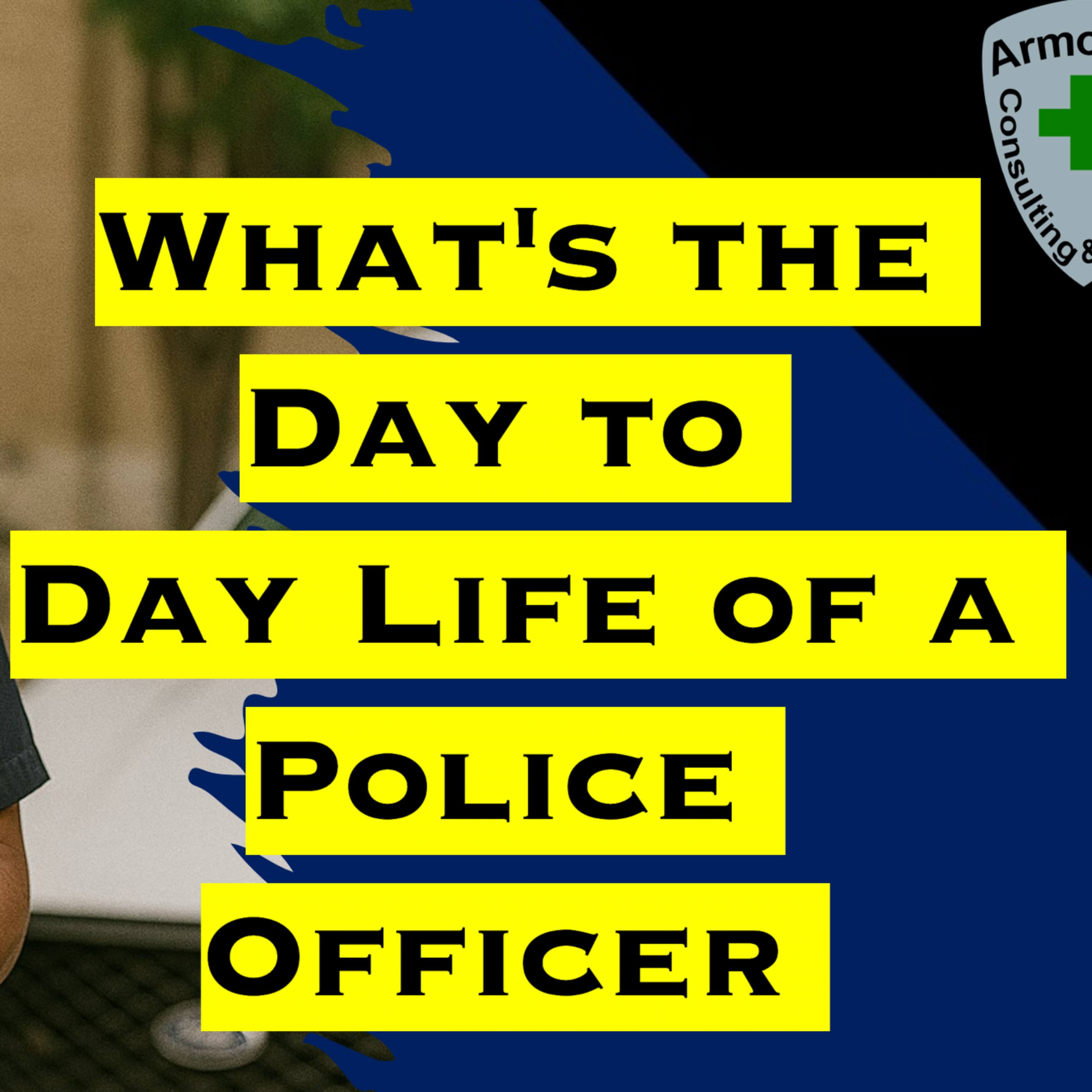 What's the Day to Day Life of a Police Officer episode artwork