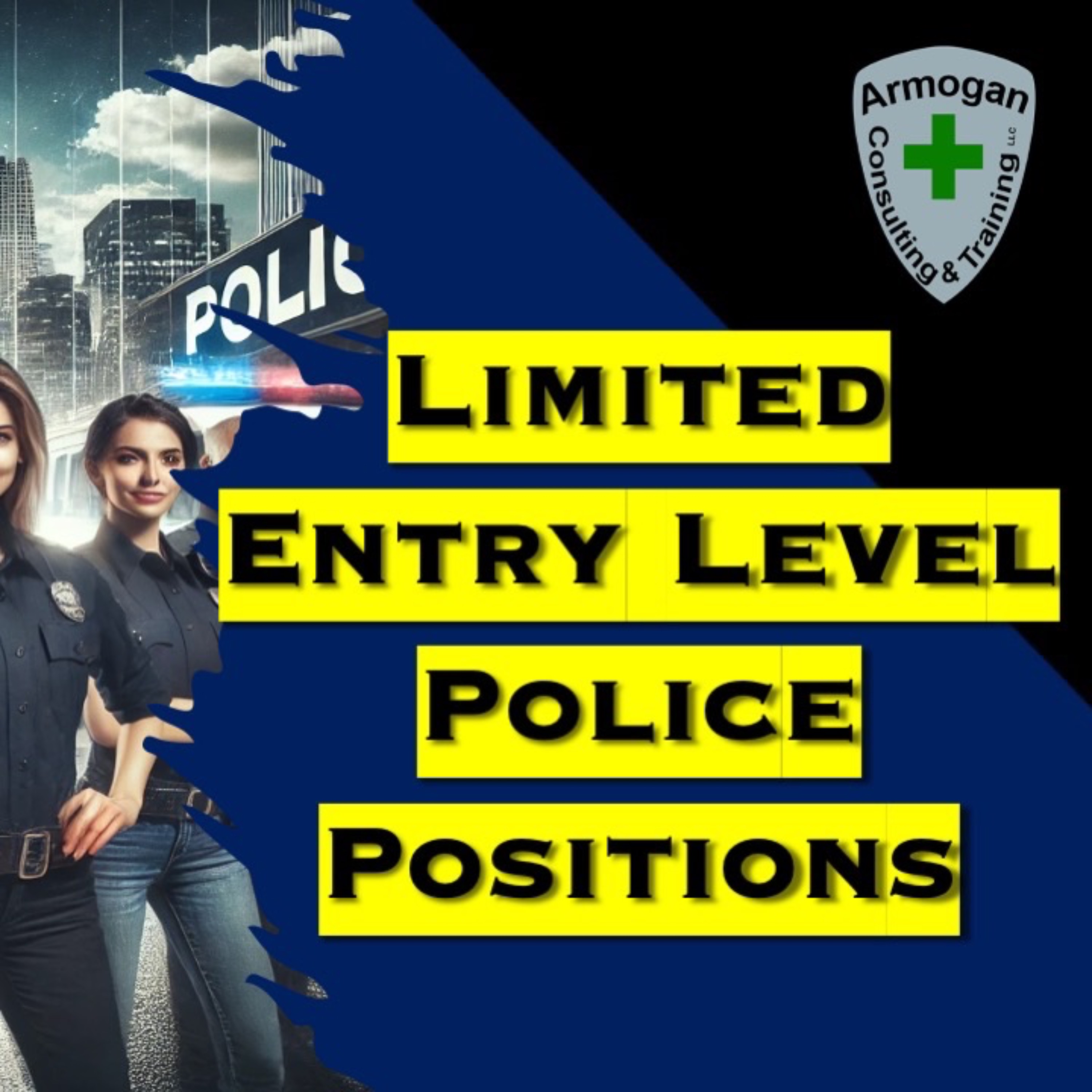 Limited Entry Level Positions episode artwork