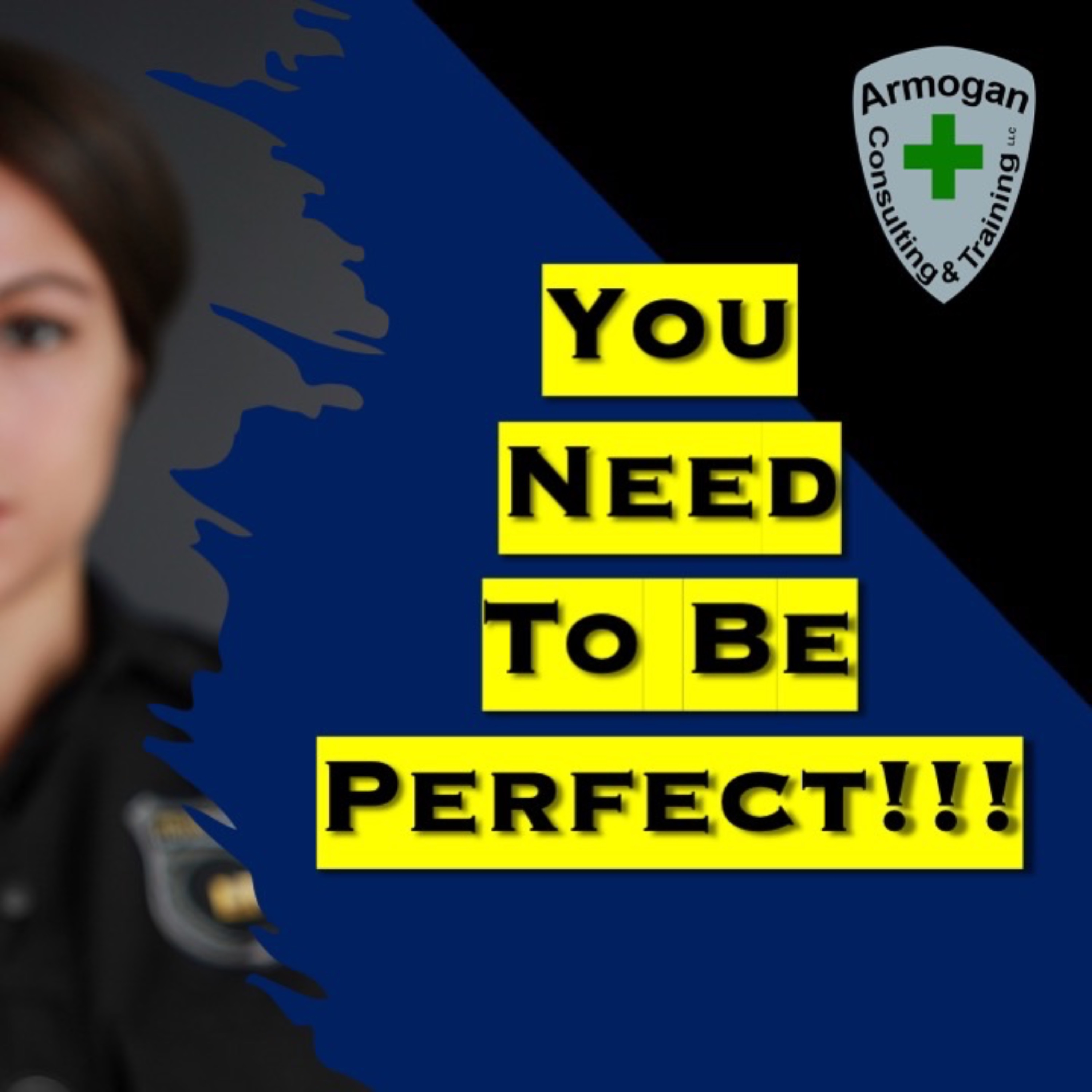 You Need To Be Perfect!!! episode artwork