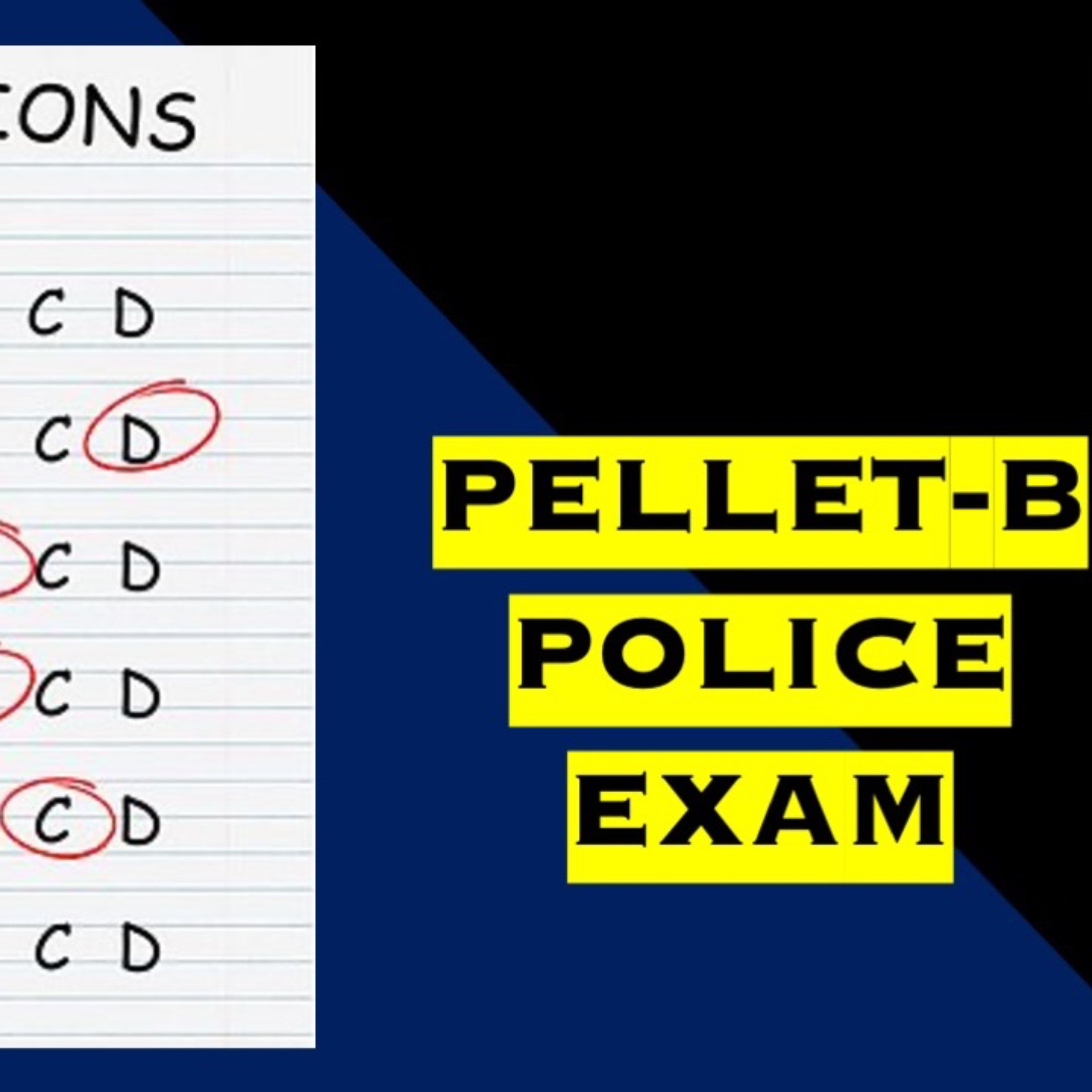 Pellet-B (Police Exam) episode artwork