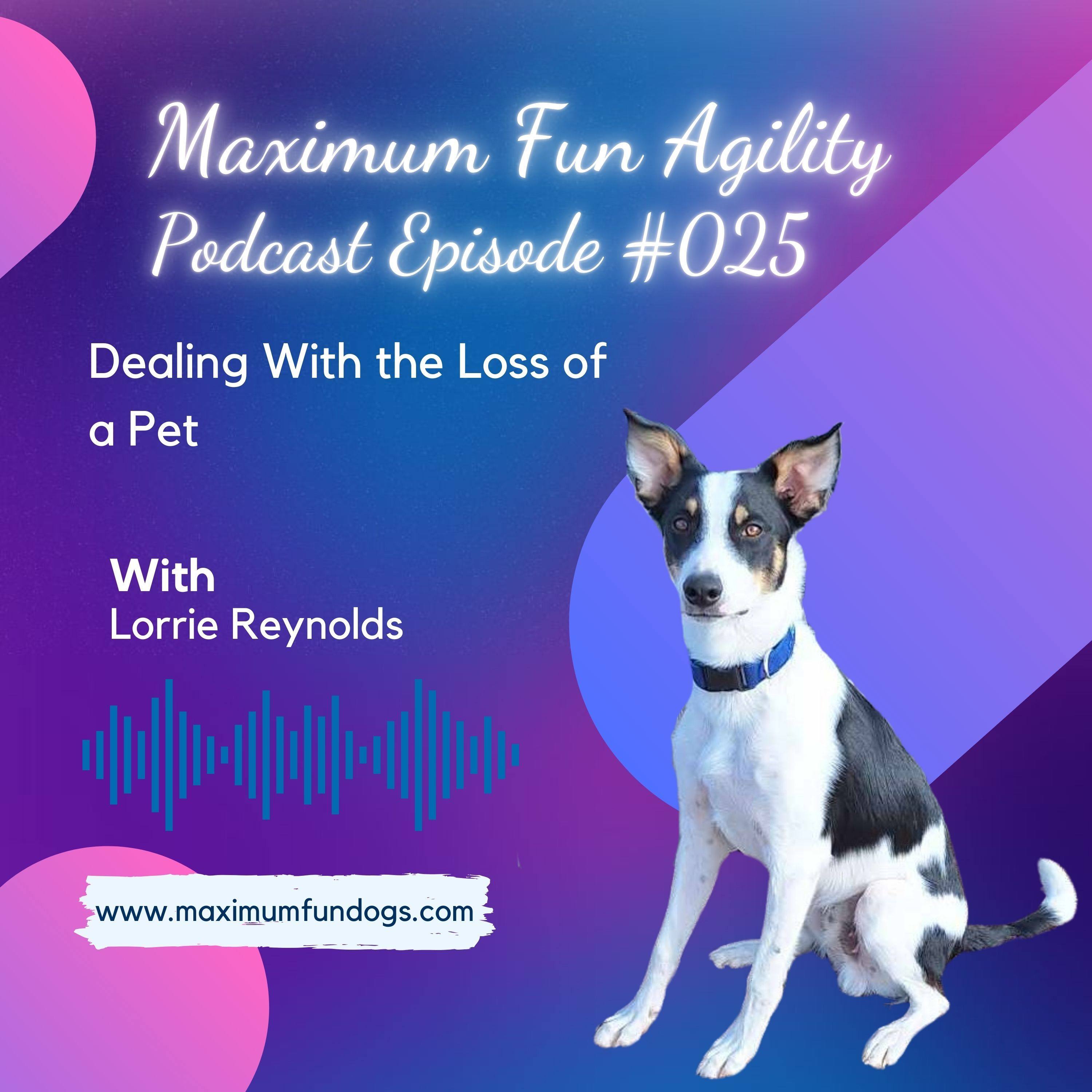 Maximum FUN Dog Agility