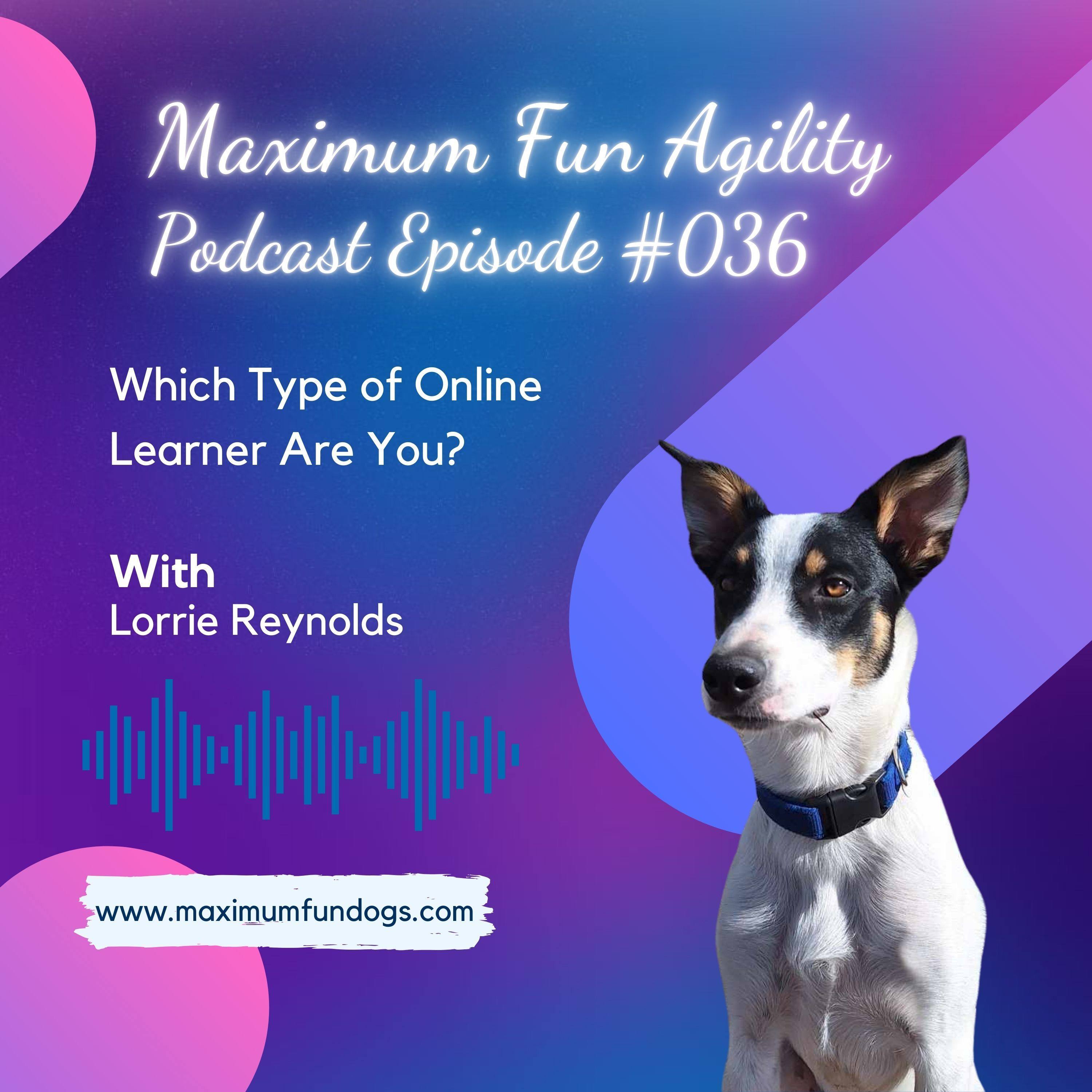 Maximum FUN Dog Agility