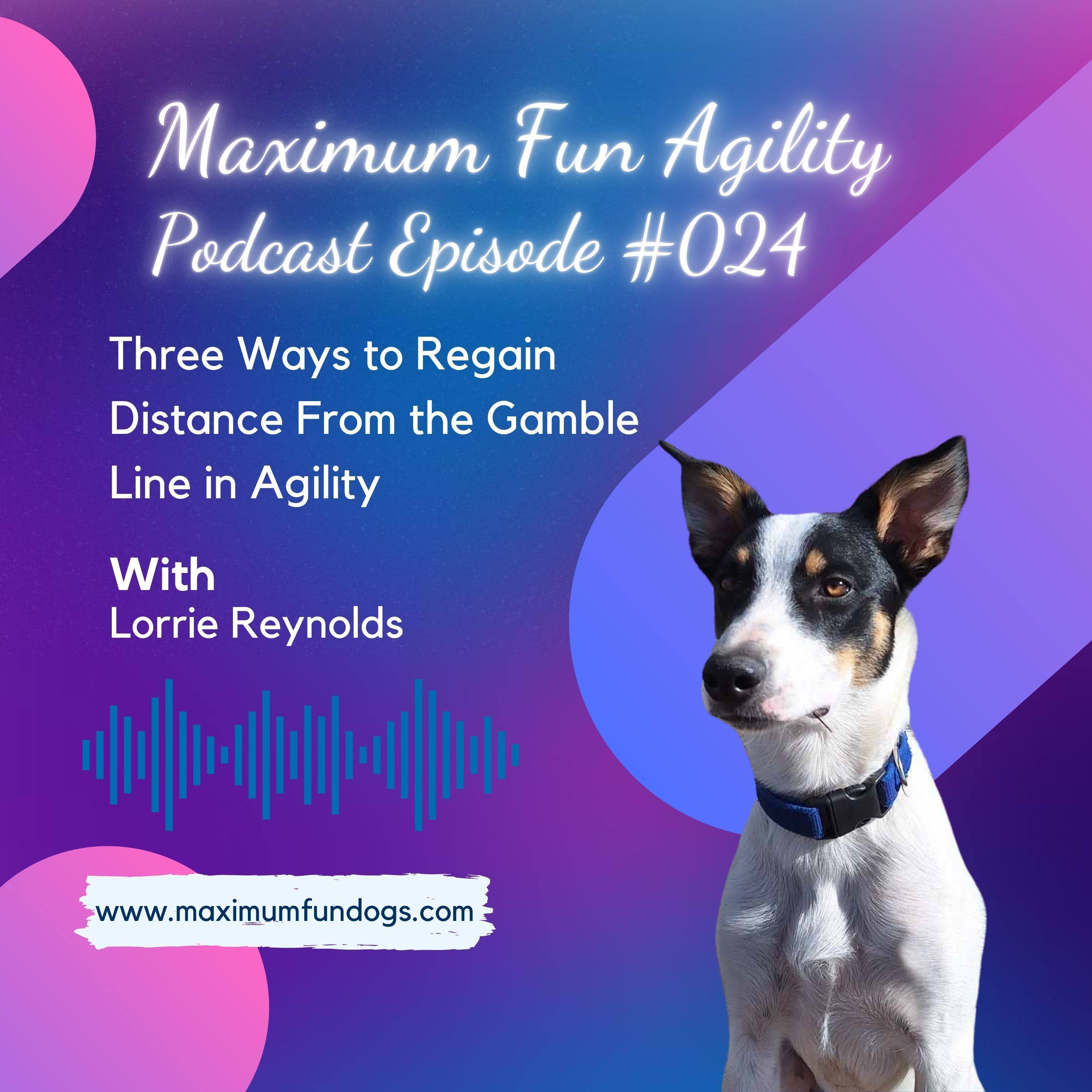 Maximum FUN Dog Agility