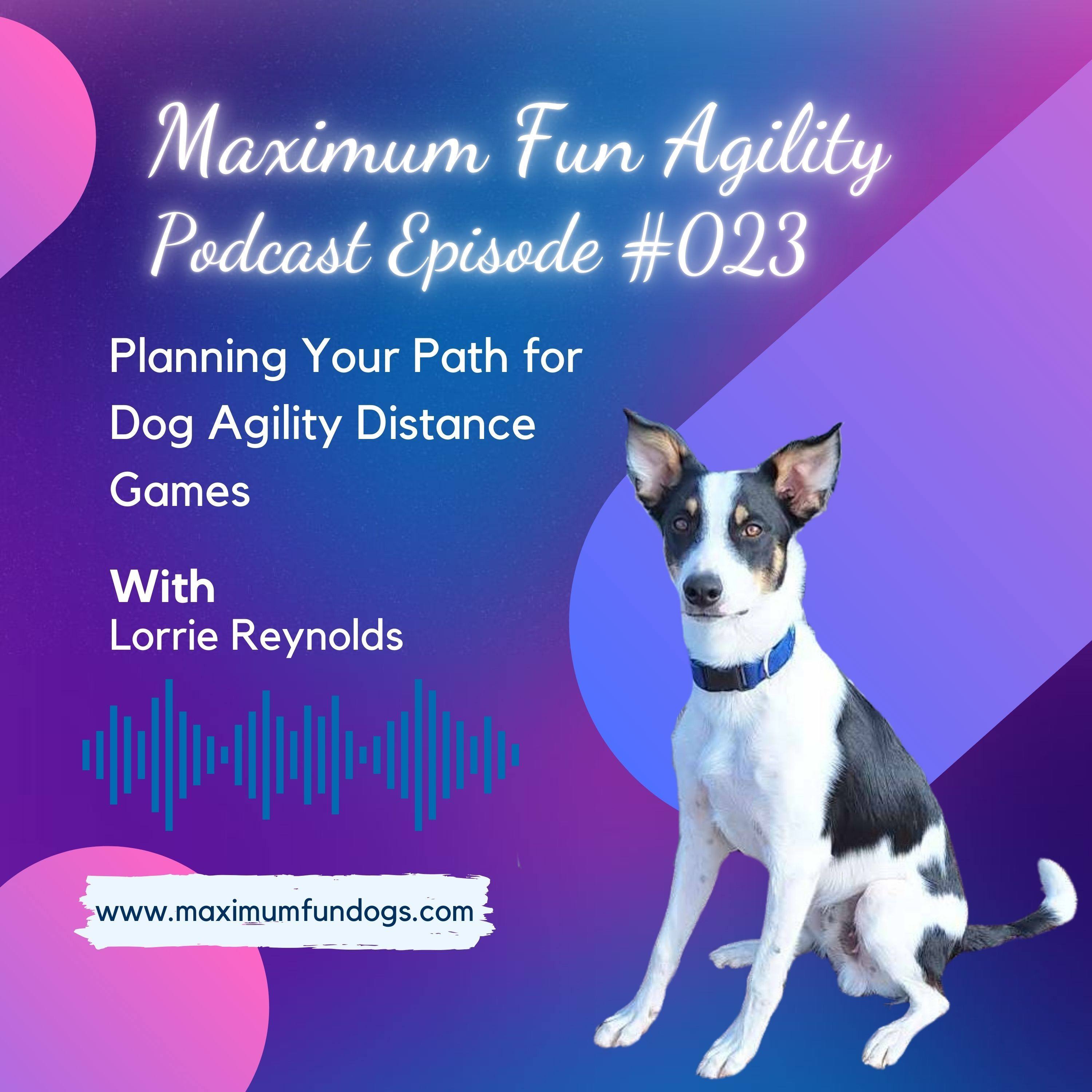 Maximum FUN Dog Agility