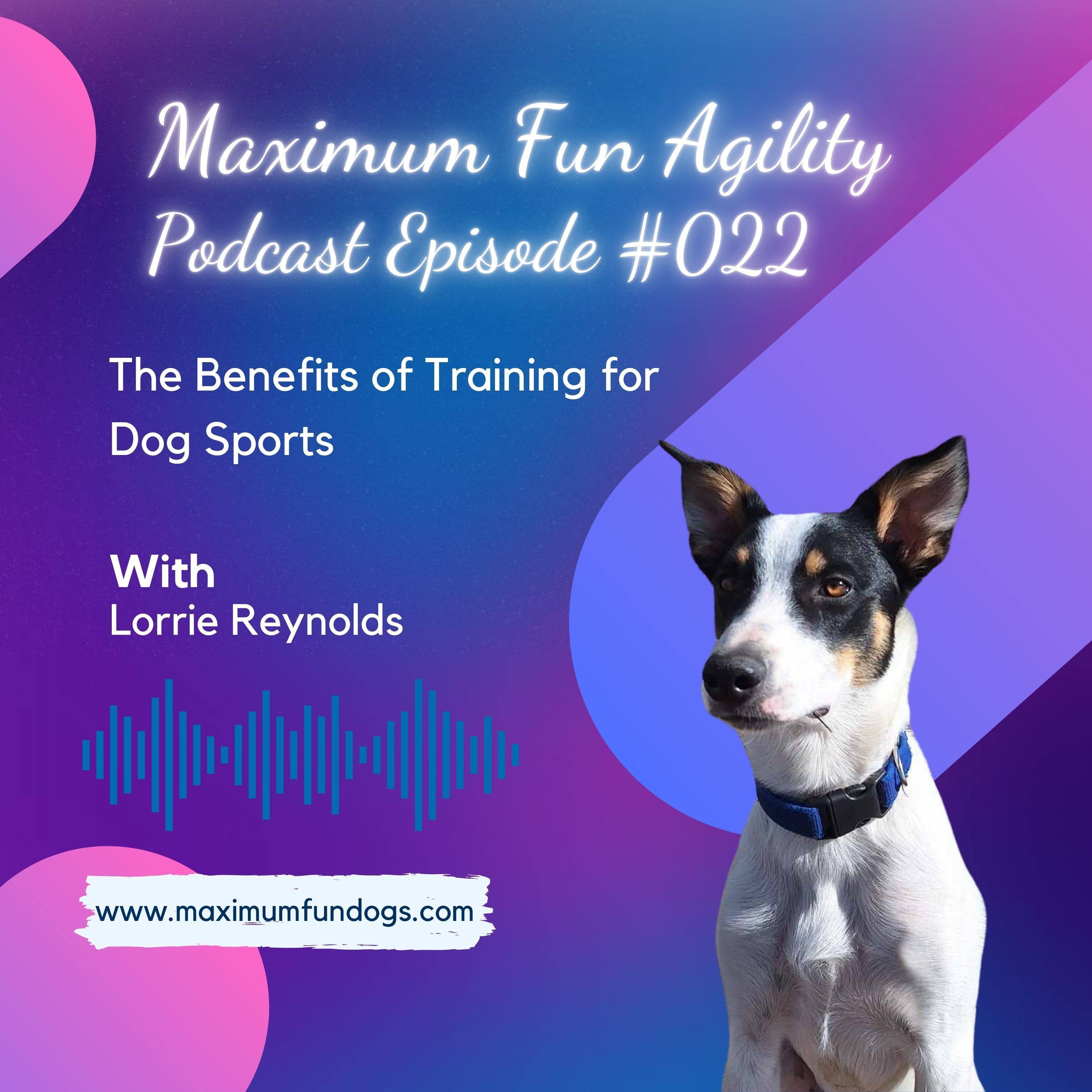 Maximum FUN Dog Agility