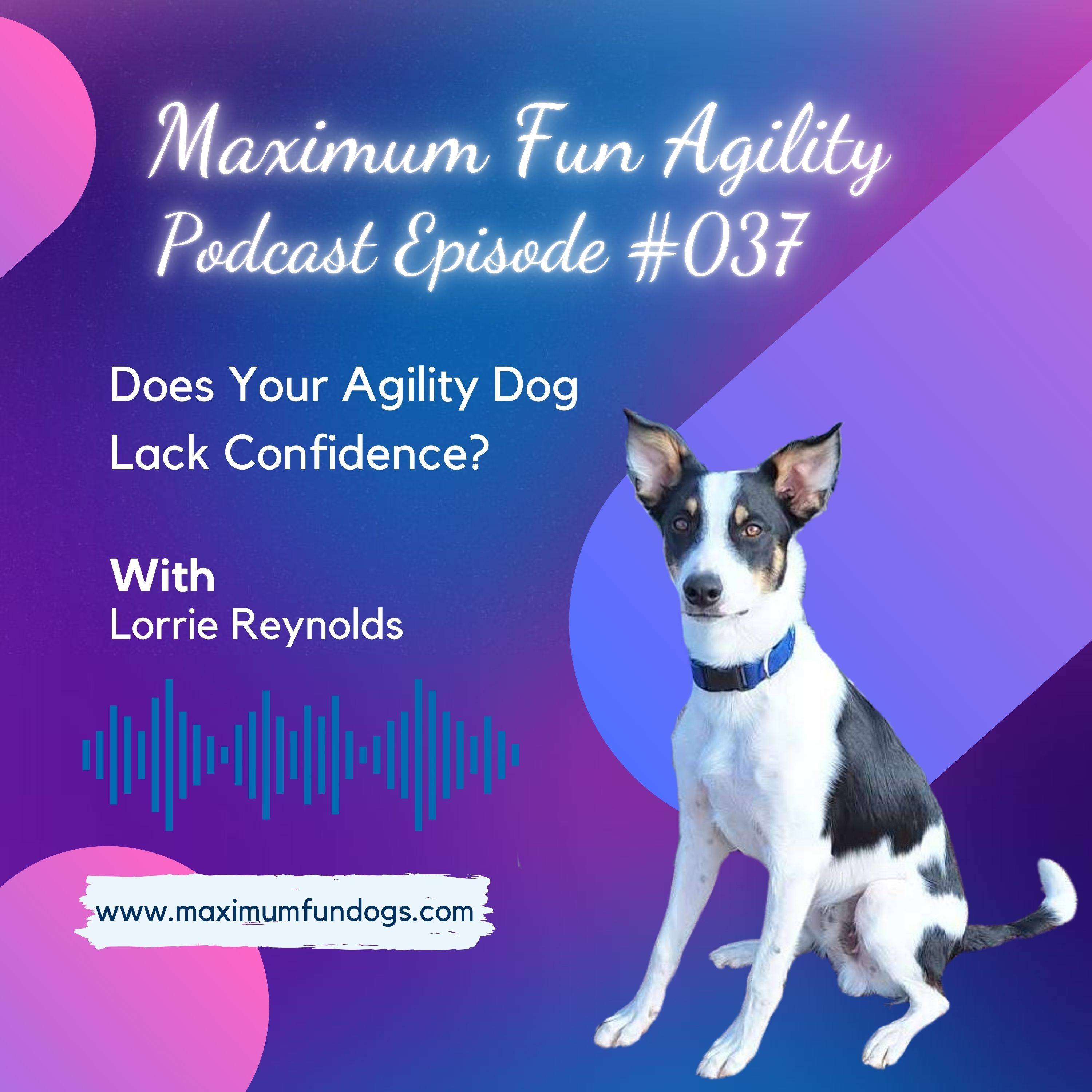 Maximum FUN Dog Agility