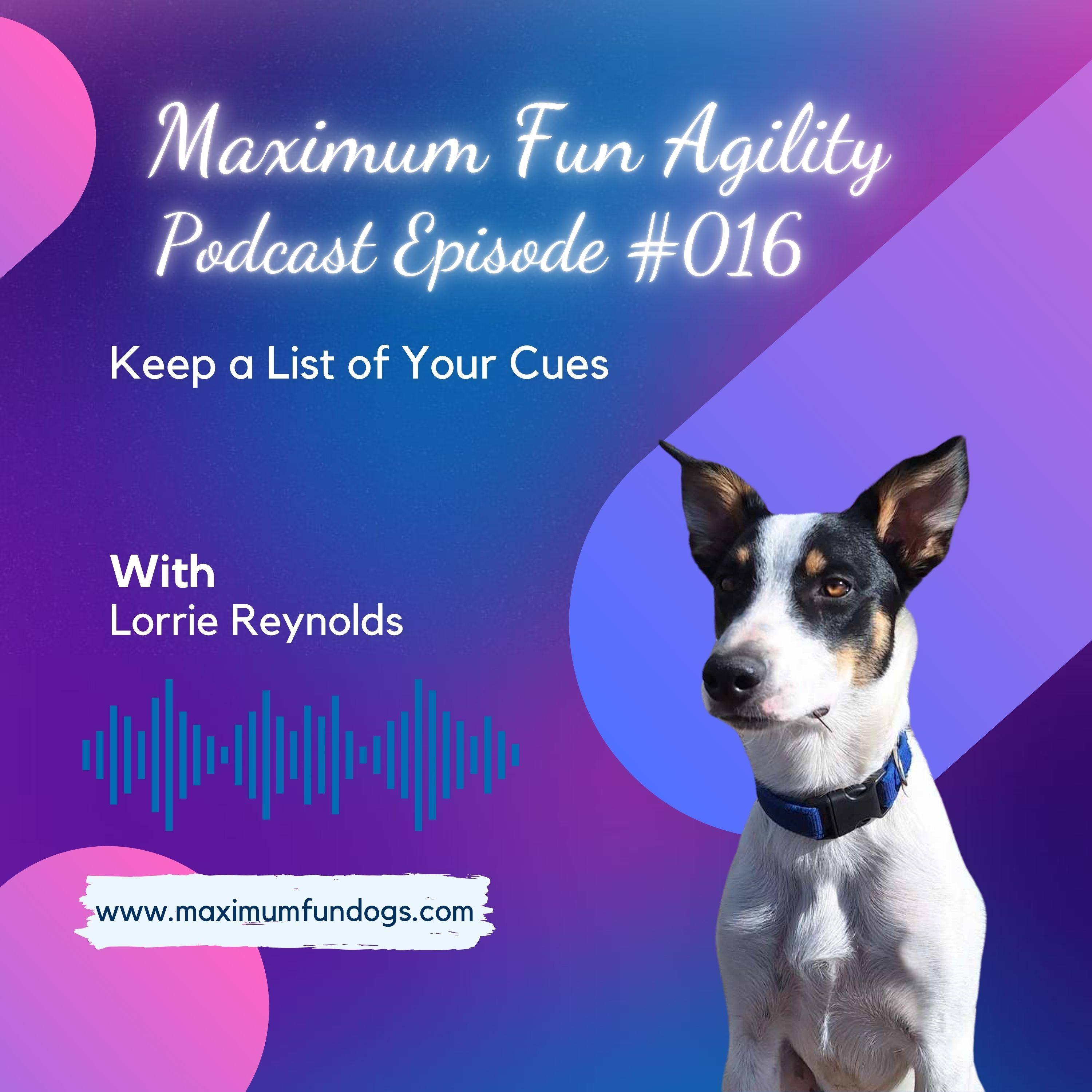 Maximum FUN Dog Agility