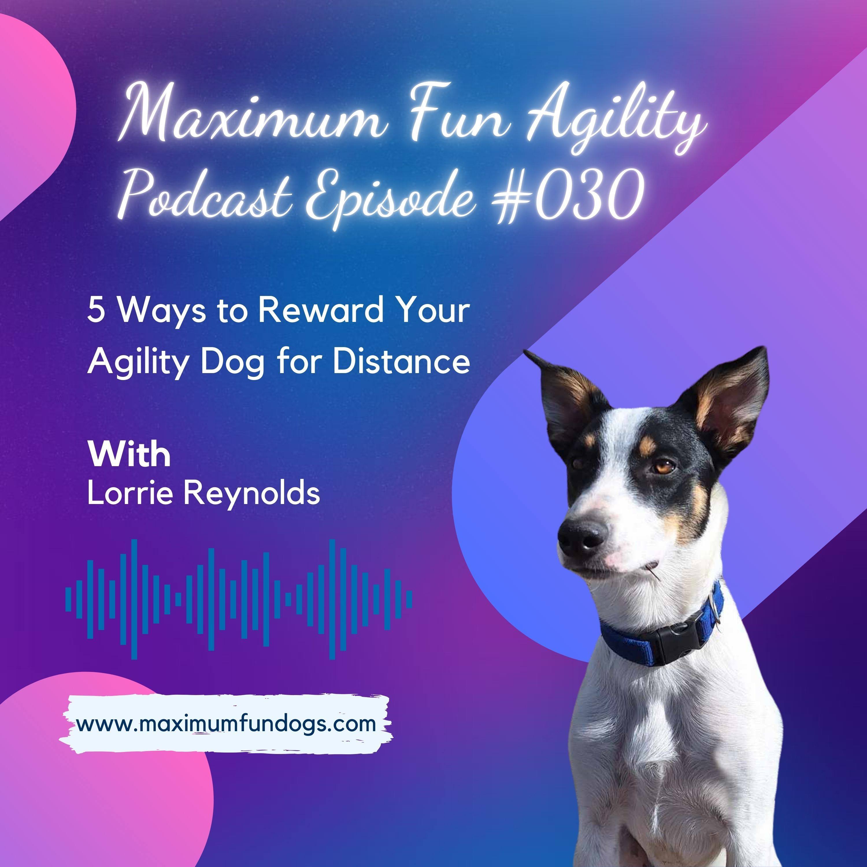 Maximum FUN Dog Agility